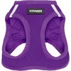 Harness (Purple)
