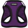 Harness (Purple/Black Trim)