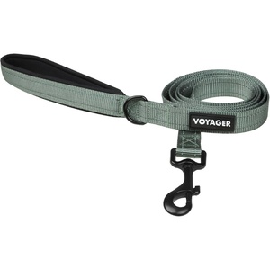 image:imageBest Pet Supplies Voyager Reflective Dog Leash or Collar with Neoprene Handle for Small Medium and Large Breed Puppies Cute and Heavy Duty for Walking Running and Training  Blue Leash SLeash Moss Green