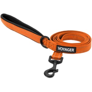 image:imageBest Pet Supplies Voyager Reflective Dog Leash or Collar with Neoprene Handle for Small Medium and Large Breed Puppies Cute and Heavy Duty for Walking Running and Training  Blue Leash SLeash Orange