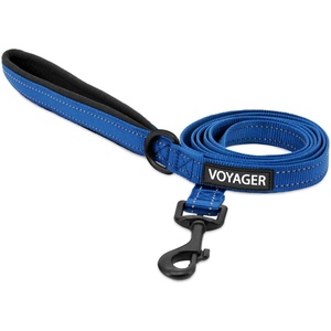 image:imageBest Pet Supplies Voyager Reflective Dog Leash or Collar with Neoprene Handle for Small Medium and Large Breed Puppies Cute and Heavy Duty for Walking Running and Training  Blue Leash SLeash Royal Blue