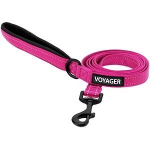 image:imageBest Pet Supplies Voyager Reflective Dog Leash or Collar with Neoprene Handle for Small Medium and Large Breed Puppies Cute and Heavy Duty for Walking Running and Training  Blue Leash SLeash Fuchsia