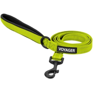 image:imageBest Pet Supplies Voyager Reflective Dog Leash or Collar with Neoprene Handle for Small Medium and Large Breed Puppies Cute and Heavy Duty for Walking Running and Training  Blue Leash SLeash Lime Green