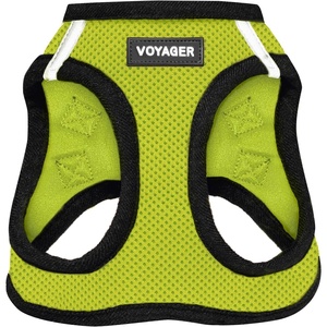 image:imageBest Pet Supplies Voyager Stepin Air Harness  All Weather Mesh Reflective No Pull Harness for Dogs Cats  Secure with Hook amp Loop Fastener Buckle Double DRings  Fuchsia SHarness Lime GreenBlack Trim