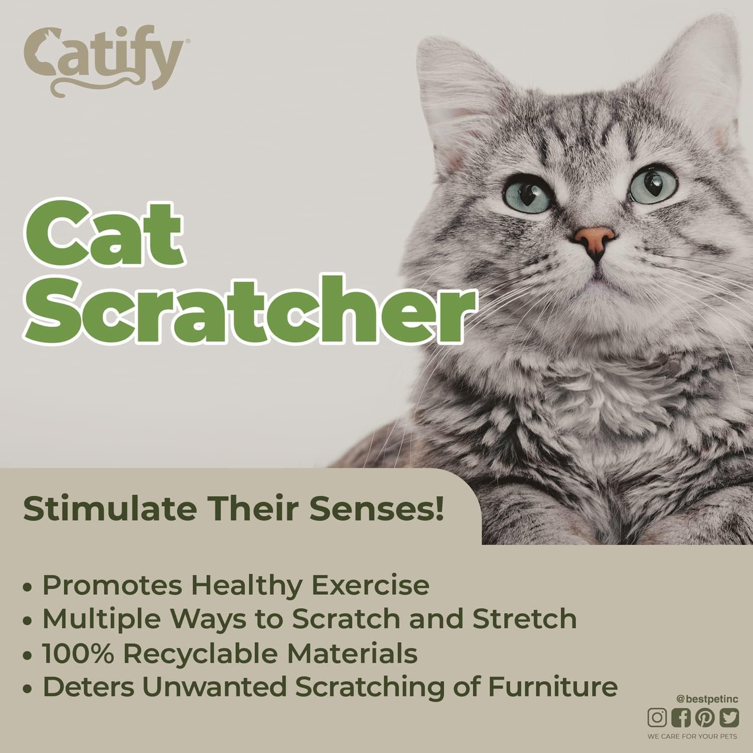 image:imageBest Pet Supplies Catify Cat Scratcher Fun Interactive Scratchers Posts Poles Claw Safe Furniture Saver Indoor Play Support Natural Cat Behaviors Heavy Duty LShape H 19CatShape