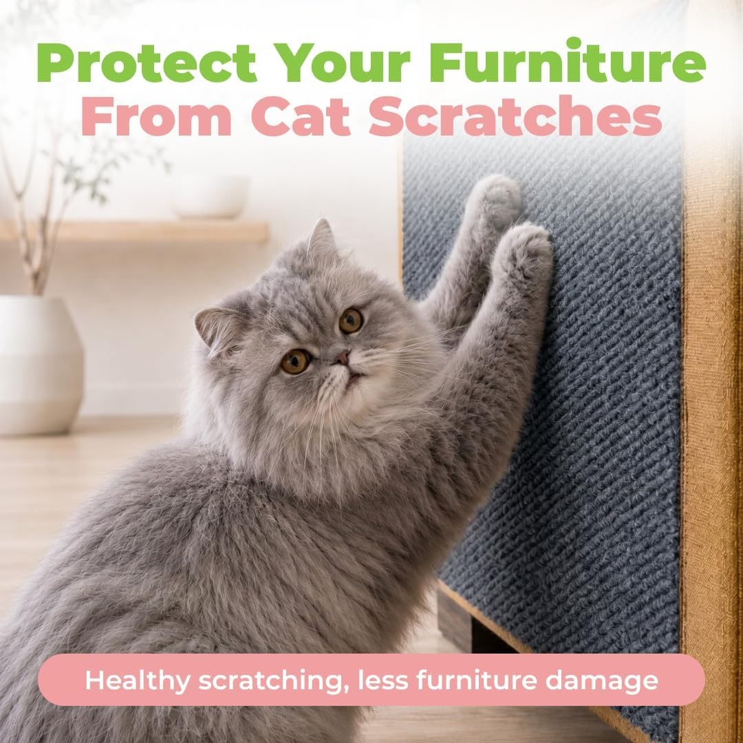 image:imageBest Pet Supplies Catify Cat Scratcher Fun Interactive Scratchers Posts Poles Claw Safe Furniture Saver Indoor Play Support Natural Cat Behaviors Heavy Duty LShape H 19Gray Mat L 39