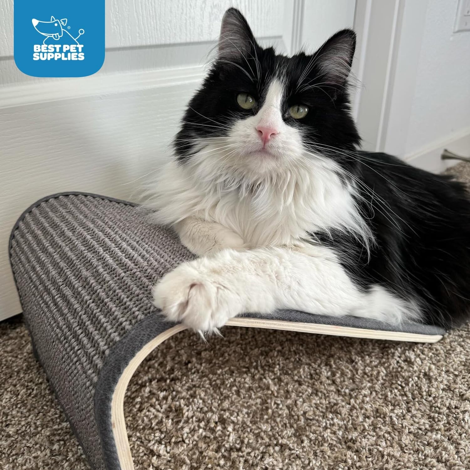 image:imageBest Pet Supplies Catify Cat Scratcher Fun Interactive Scratchers Posts Poles Claw Safe Furniture Saver Indoor Play Support Natural Cat Behaviors Heavy Duty LShape H 19Beige Ramp