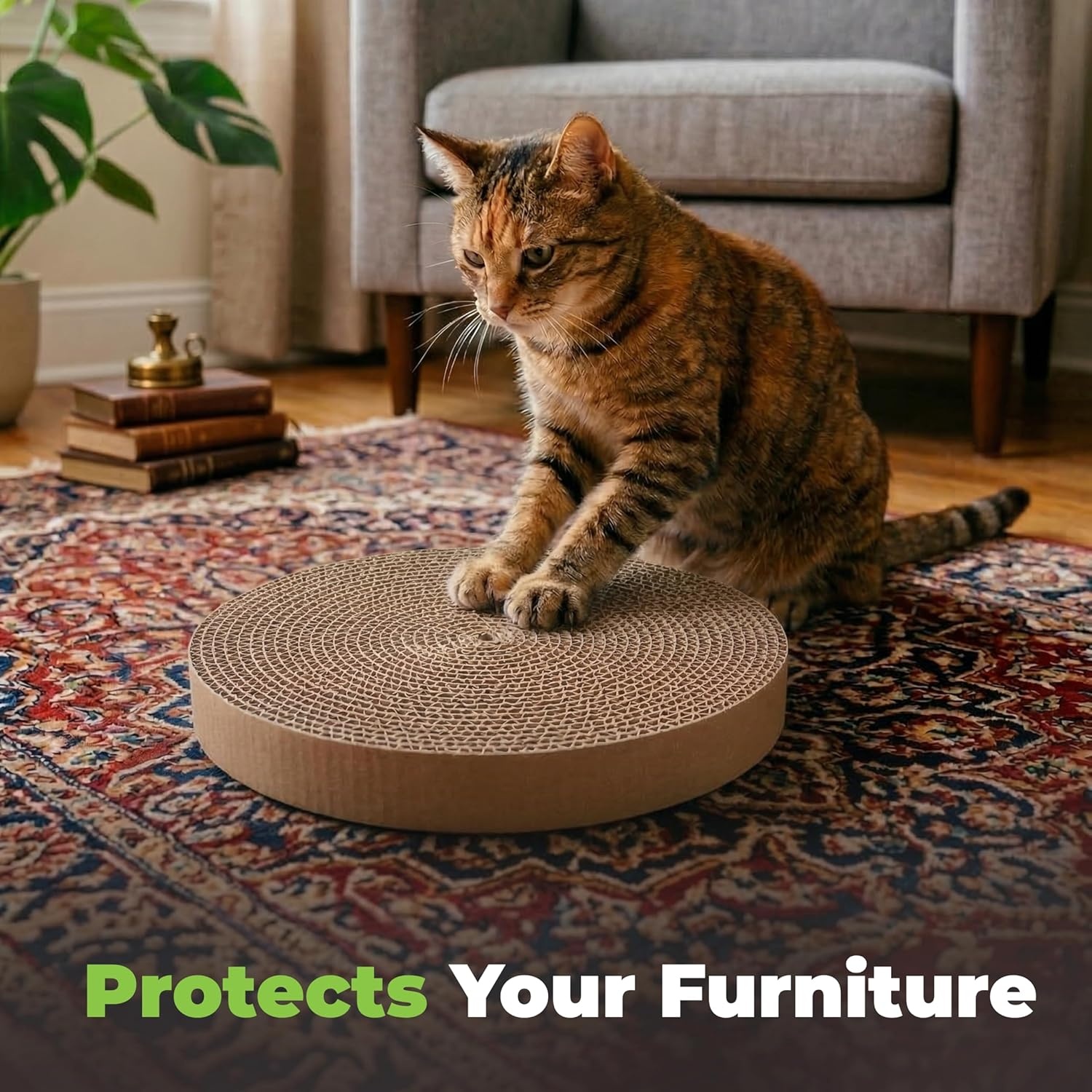 image:imageBest Pet Supplies Catify Cat Scratcher Fun Interactive Scratchers Posts Poles Claw Safe Furniture Saver Indoor Play Support Natural Cat Behaviors Heavy Duty LShape H 19Round3 Pack