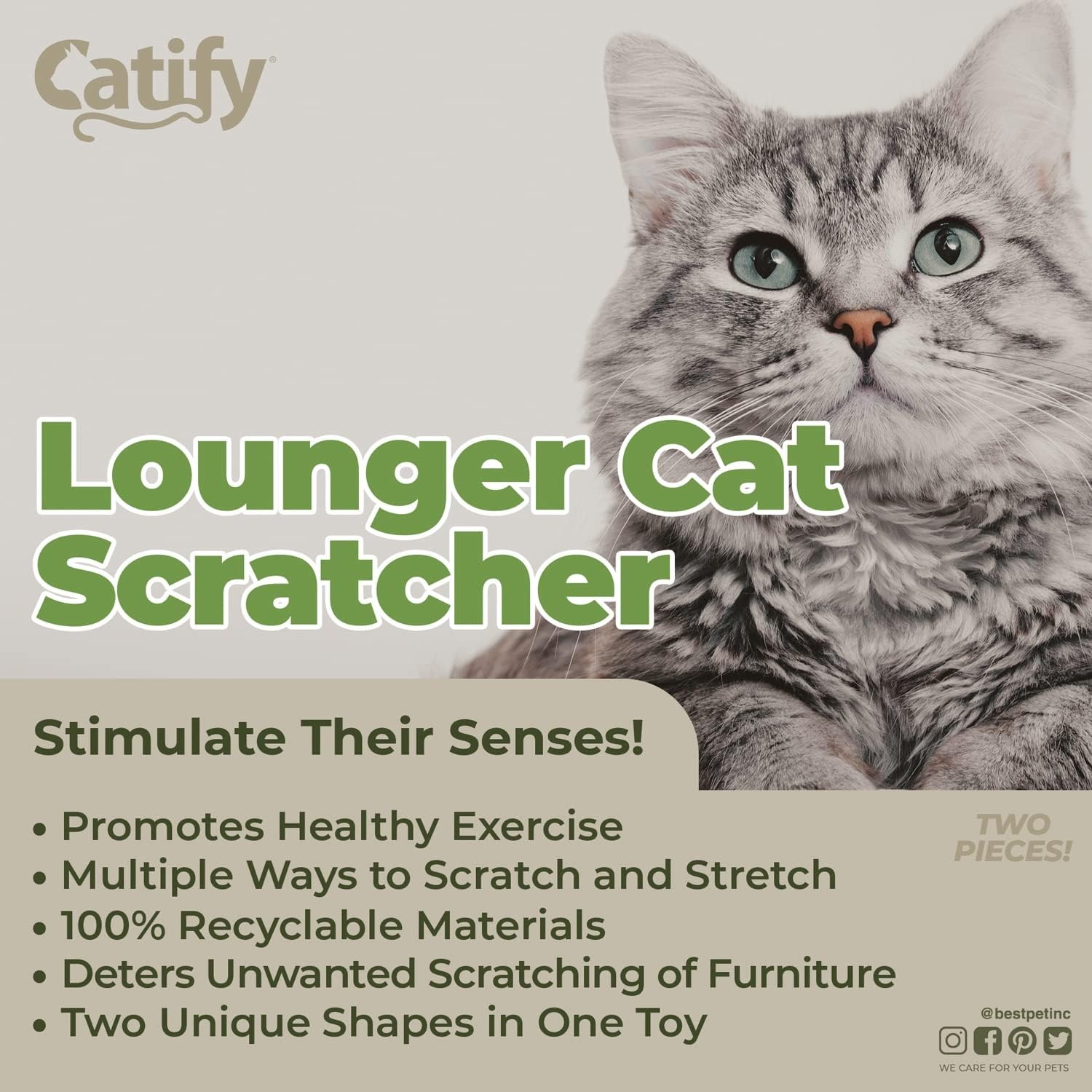image:imageBest Pet Supplies Catify Cat Scratcher Fun Interactive Scratchers Posts Poles Claw Safe Furniture Saver Indoor Play Support Natural Cat Behaviors Heavy Duty LShape H 19Lounger I