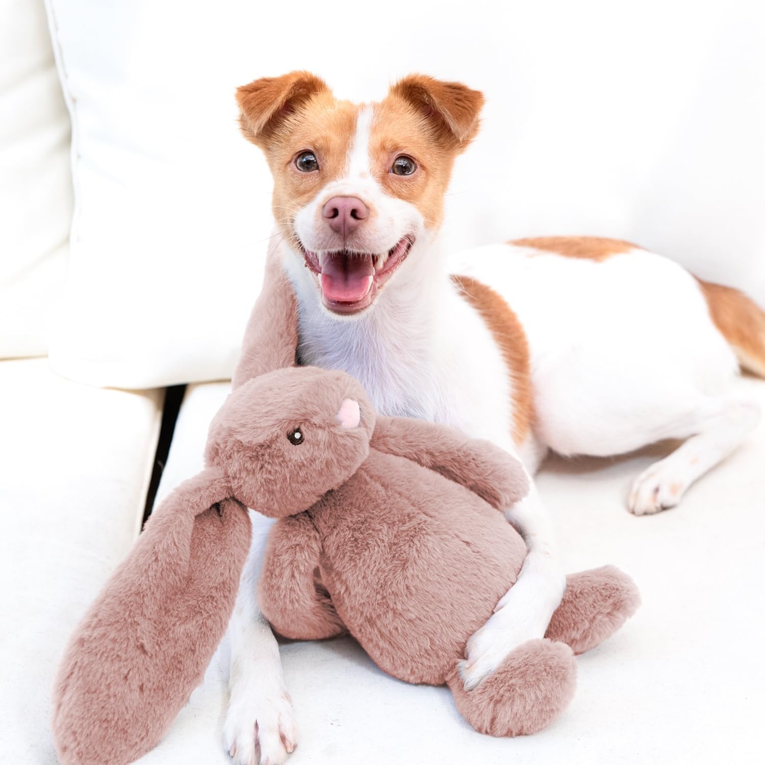 image:imageBest Pet Supplies Interactive Squeaky Dog Chew Toy Ideal Dog Toys for Chewers Small Medium amp Large Dogs and Fetch Lovers Crinkle Duck Blue LargeBunny Mauve