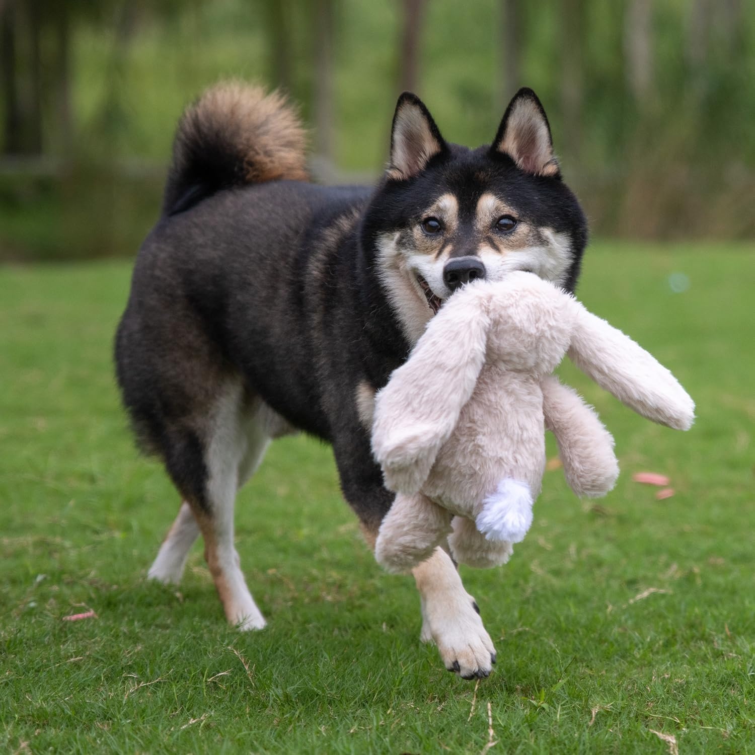 image:imageBest Pet Supplies Interactive Squeaky Dog Chew Toy Ideal Dog Toys for Chewers Small Medium amp Large Dogs and Fetch Lovers Crinkle Duck Blue LargeBunny Beige