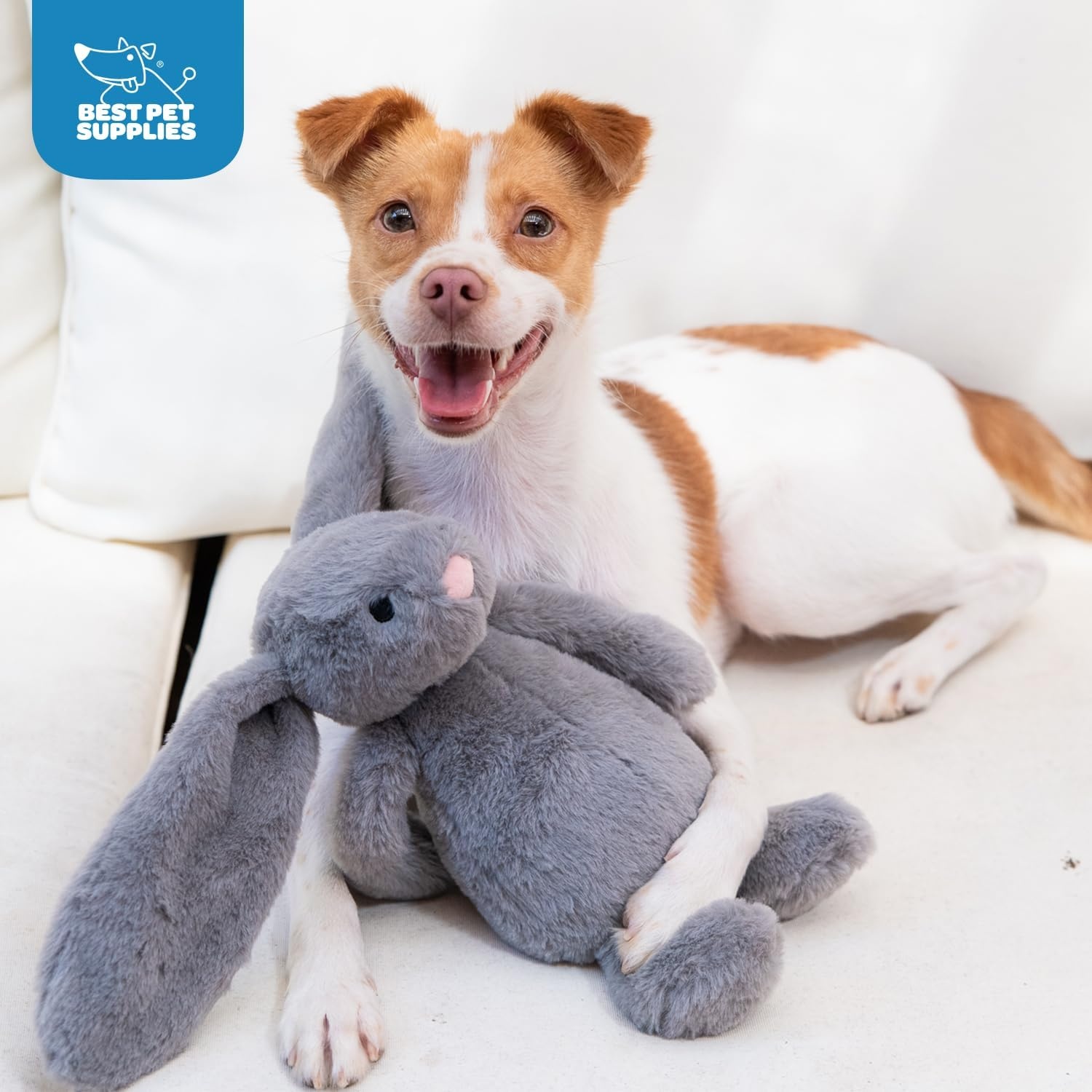 image:imageBest Pet Supplies Interactive Squeaky Dog Chew Toy Ideal Dog Toys for Chewers Small Medium amp Large Dogs and Fetch Lovers Crinkle Duck Blue LargeBunny Gray
