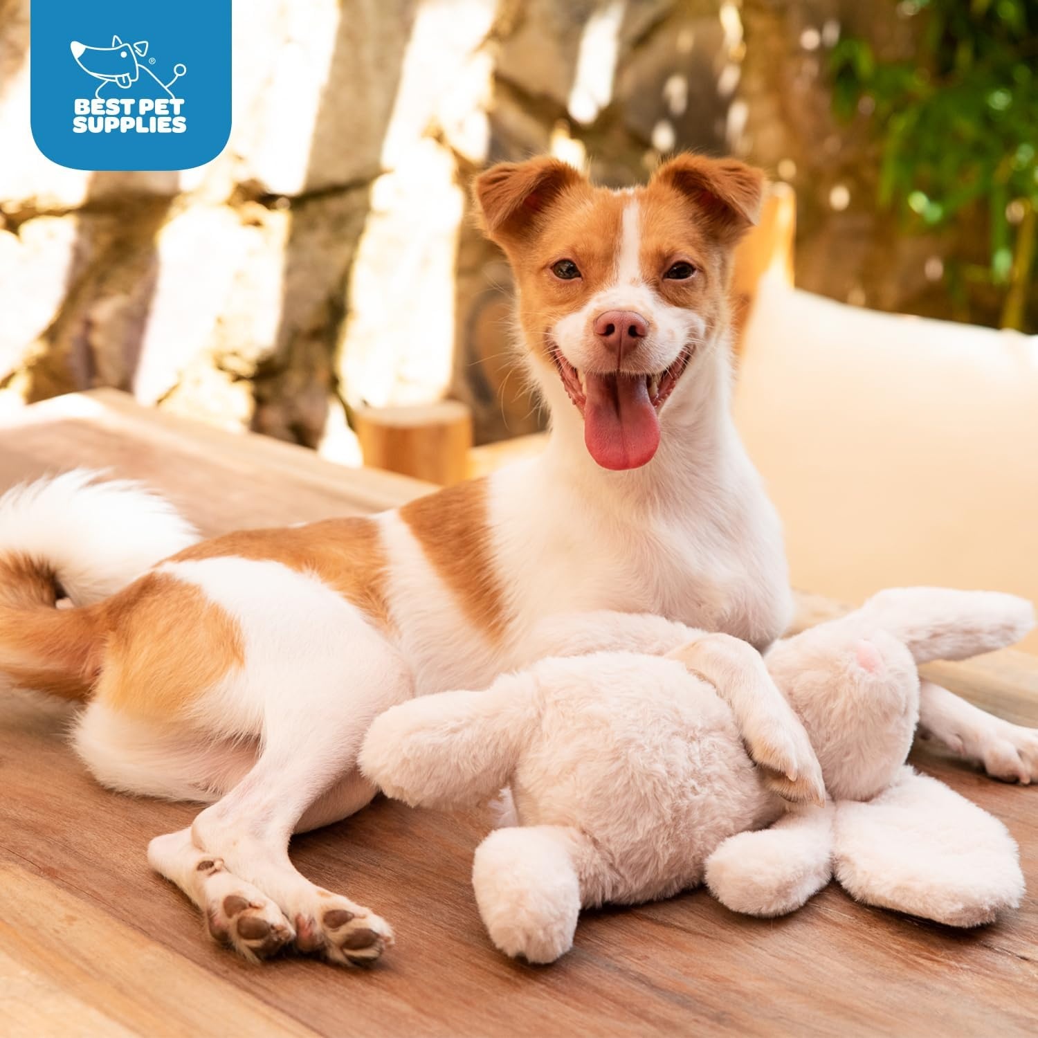 image:imageBest Pet Supplies Interactive Squeaky Dog Chew Toy Ideal Dog Toys for Chewers Small Medium amp Large Dogs and Fetch Lovers Crinkle Duck Blue LargeBunny Beige