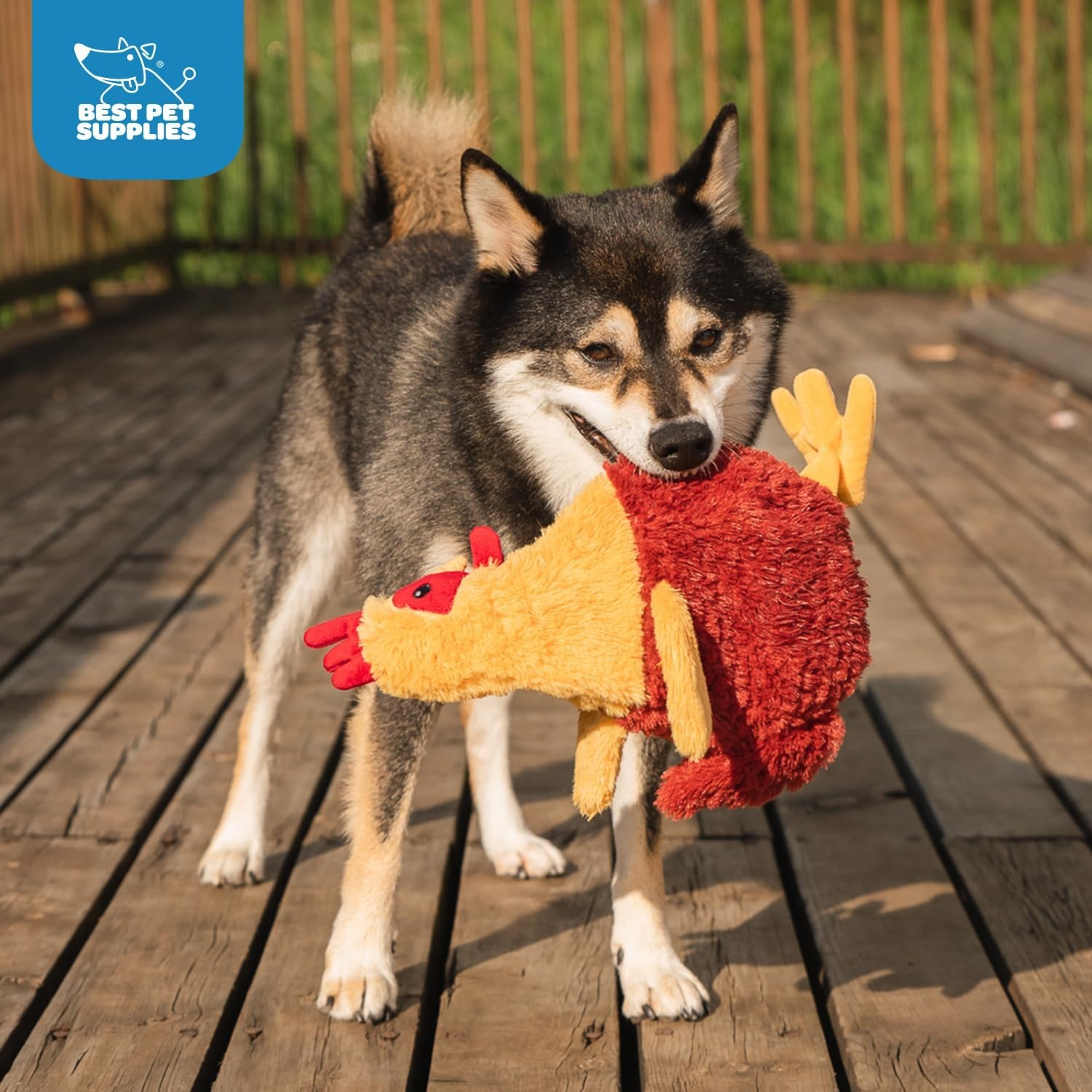 image:imageBest Pet Supplies Interactive Squeaky Dog Chew Toy Ideal Dog Toys for Chewers Small Medium amp Large Dogs and Fetch Lovers Crinkle Duck Blue LargeCrinkle Chicken Wine Red