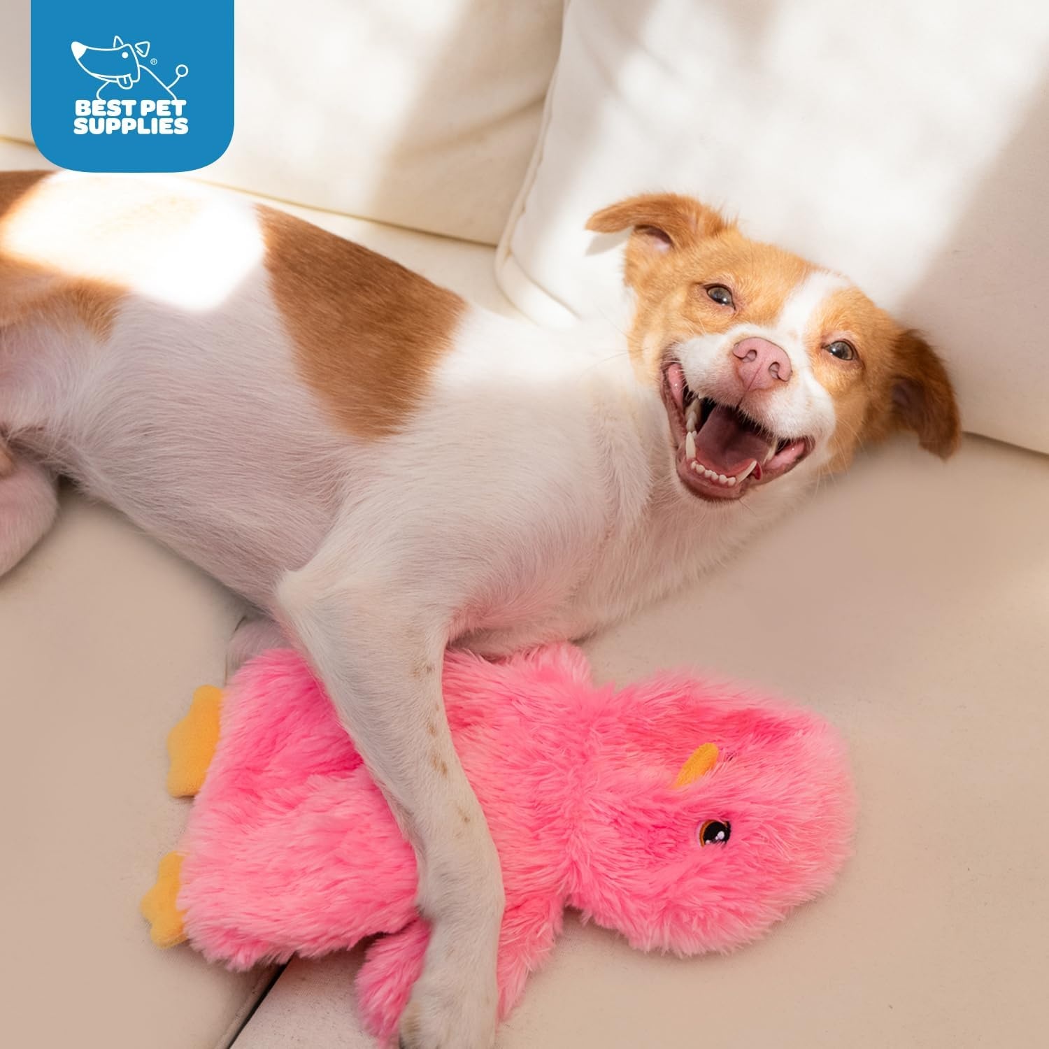 image:imageBest Pet Supplies Interactive Squeaky Dog Chew Toy Ideal Dog Toys for Chewers Small Medium amp Large Dogs and Fetch Lovers Crinkle Duck Blue LargeCrinkle Chicken Pink