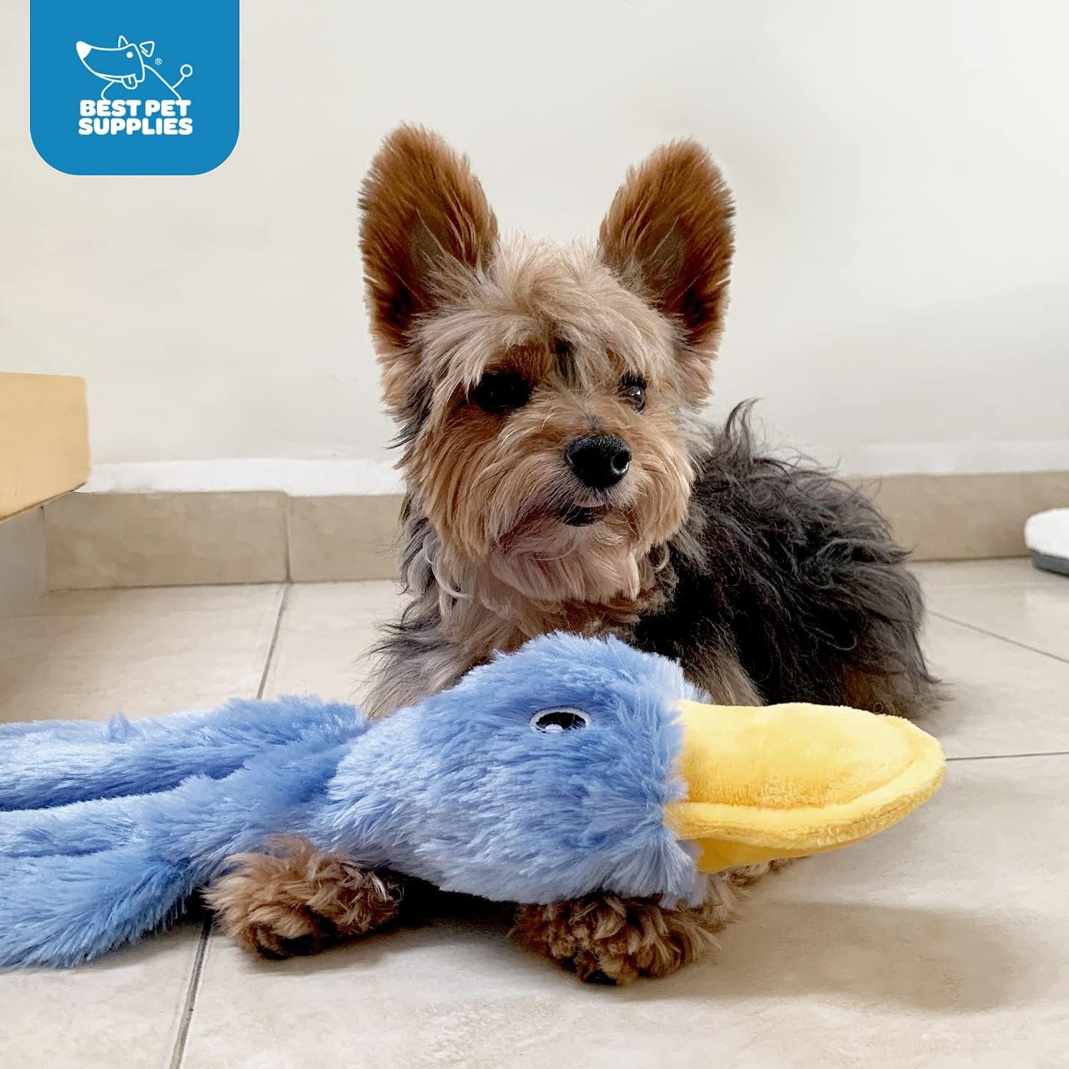 image:imageBest Pet Supplies Interactive Squeaky Dog Chew Toy Ideal Dog Toys for Chewers Small Medium amp Large Dogs and Fetch Lovers Crinkle Duck Blue LargeCrinkle Duck Yellow