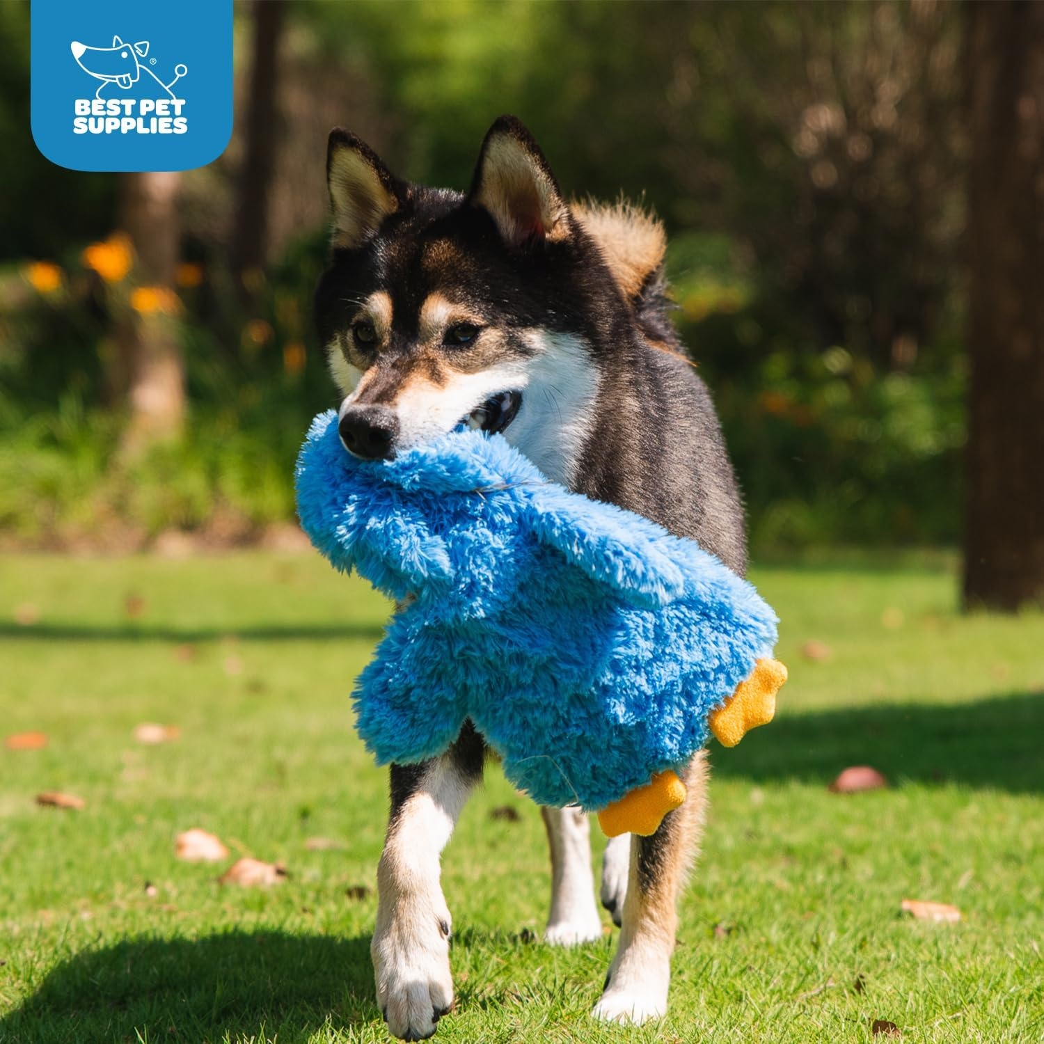 image:imageBest Pet Supplies Interactive Squeaky Dog Chew Toy Ideal Dog Toys for Chewers Small Medium amp Large Dogs and Fetch Lovers Crinkle Duck Blue LargeCrinkle Chicken Blue