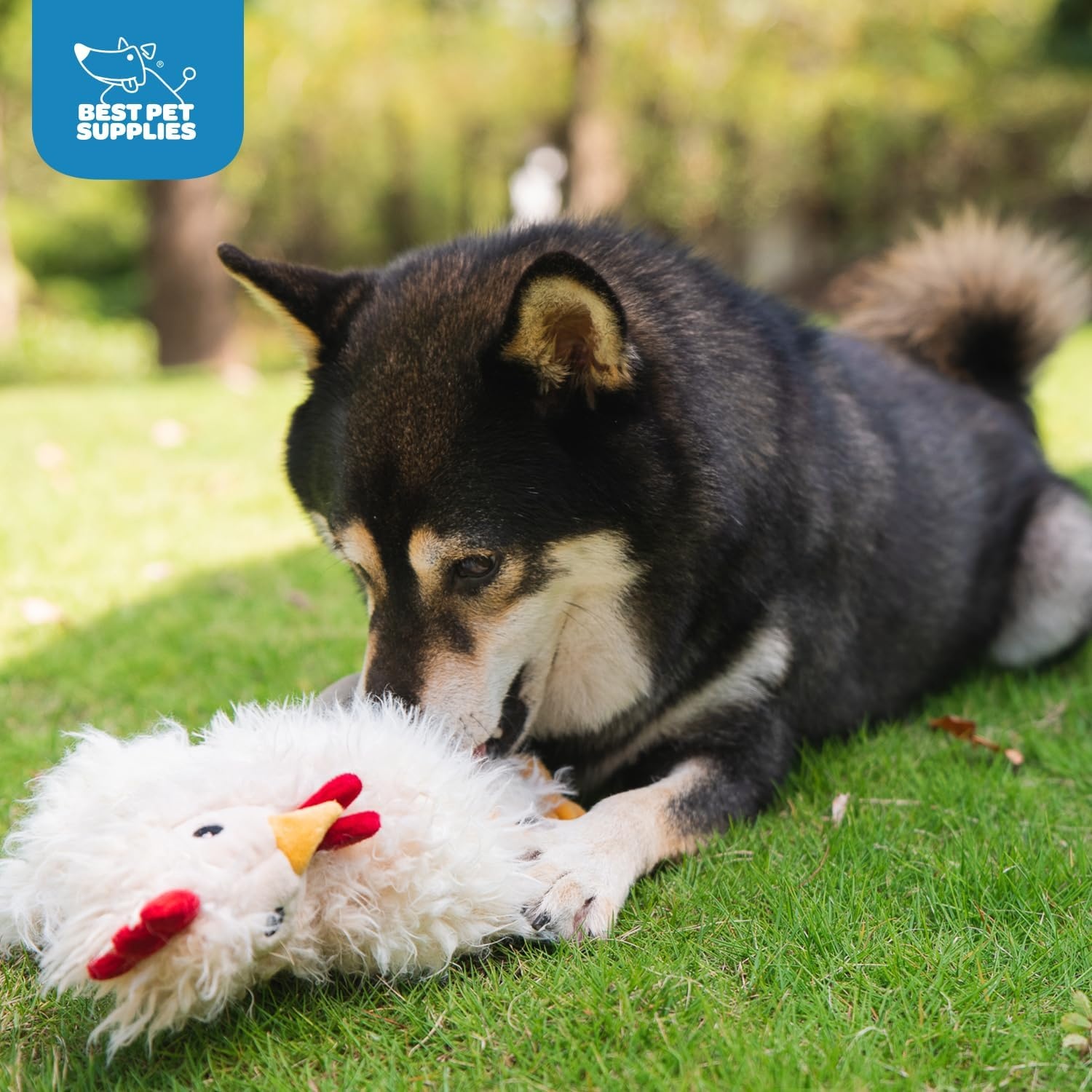 image:imageBest Pet Supplies Interactive Squeaky Dog Chew Toy Ideal Dog Toys for Chewers Small Medium amp Large Dogs and Fetch Lovers Crinkle Duck Blue LargeCrinkle Chicken Beige