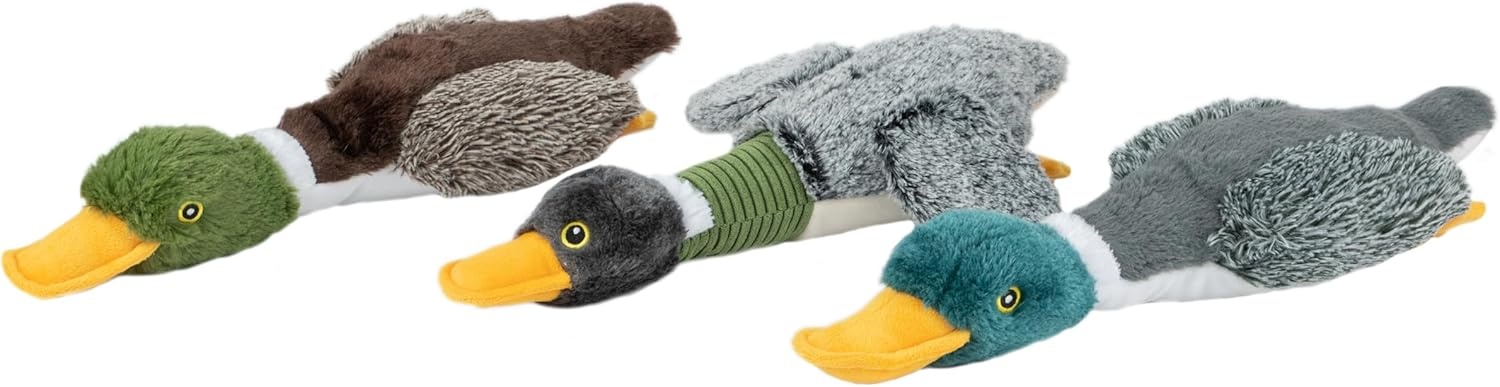 image:imageBest Pet Supplies Interactive Squeaky Dog Chew Toy Ideal Dog Toys for Chewers Small Medium amp Large Dogs and Fetch Lovers Crinkle Duck Blue LargeMallard Duck Wing Gray
