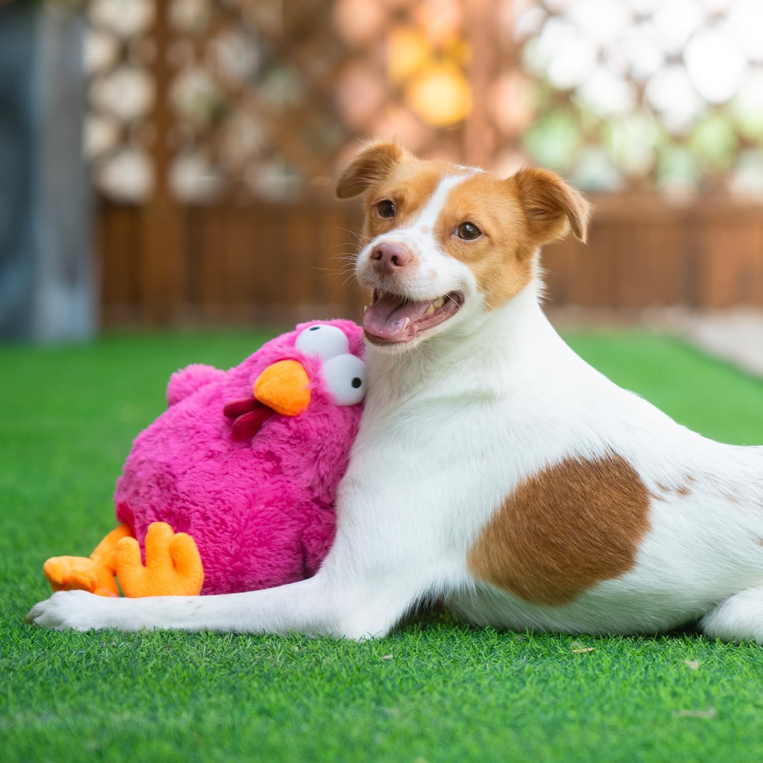 image:imageBest Pet Supplies Interactive Squeaky Dog Chew Toy Ideal Dog Toys for Chewers Small Medium amp Large Dogs and Fetch Lovers Crinkle Duck Blue LargeMrs Cluck Fuchsia
