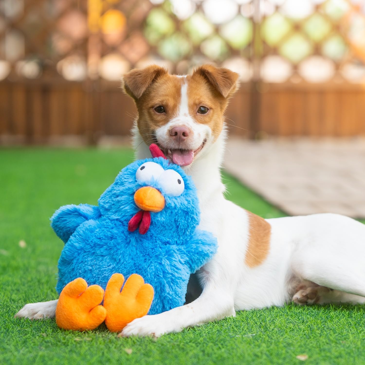 image:imageBest Pet Supplies Interactive Squeaky Dog Chew Toy Ideal Dog Toys for Chewers Small Medium amp Large Dogs and Fetch Lovers Crinkle Duck Blue LargeMrs Cluck Blue