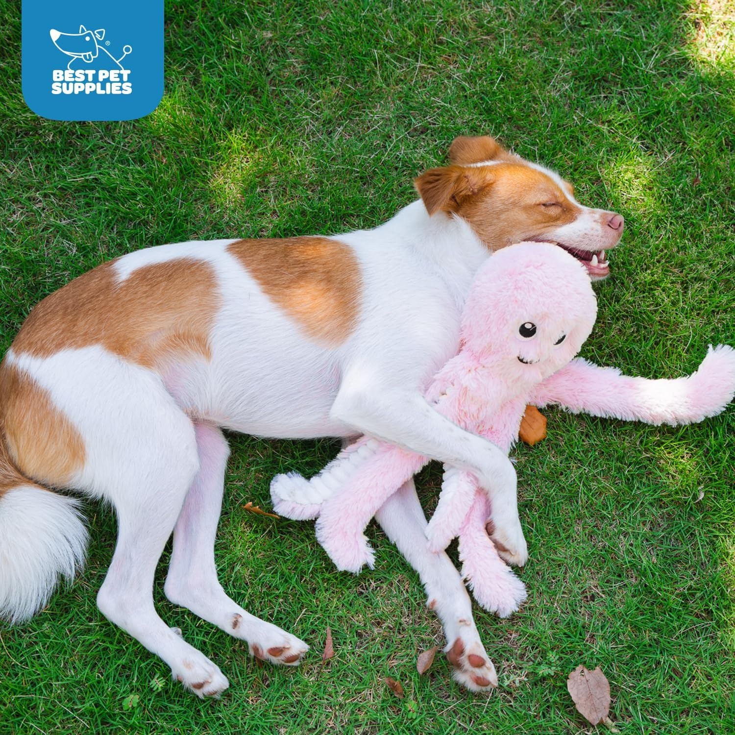 image:imageBest Pet Supplies Interactive Squeaky Dog Chew Toy Ideal Dog Toys for Chewers Small Medium amp Large Dogs and Fetch Lovers Crinkle Duck Blue LargeOctomutant Pink