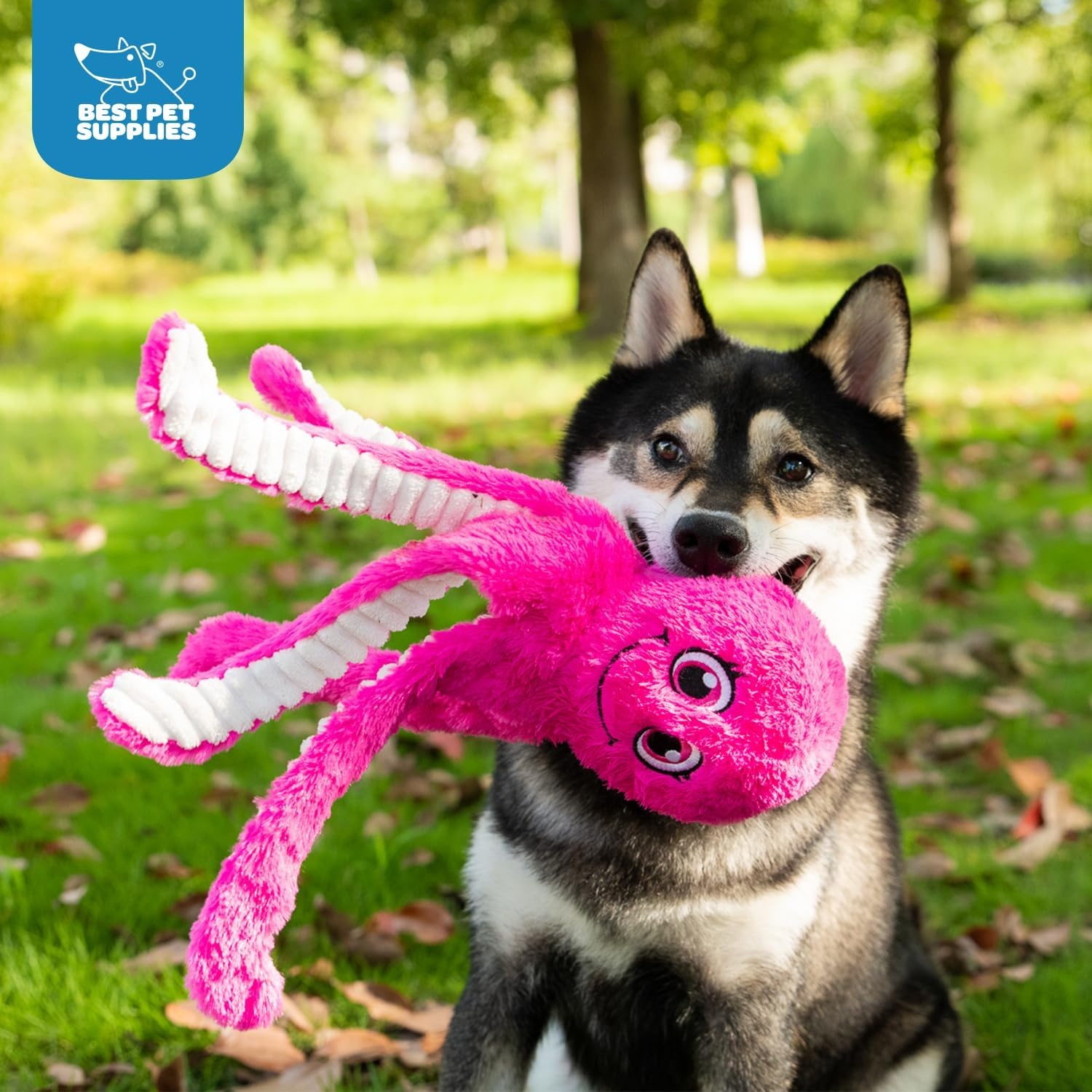 image:imageBest Pet Supplies Interactive Squeaky Dog Chew Toy Ideal Dog Toys for Chewers Small Medium amp Large Dogs and Fetch Lovers Crinkle Duck Blue LargeOctomutant Fuchsia