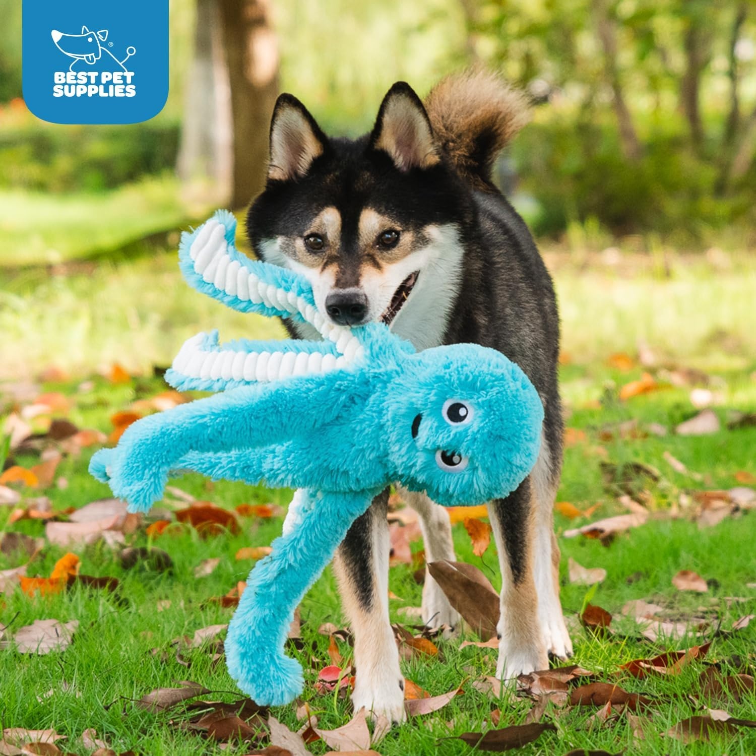 image:imageBest Pet Supplies Interactive Squeaky Dog Chew Toy Ideal Dog Toys for Chewers Small Medium amp Large Dogs and Fetch Lovers Crinkle Duck Blue LargeOctomutant Fuchsia Purple Turquoise