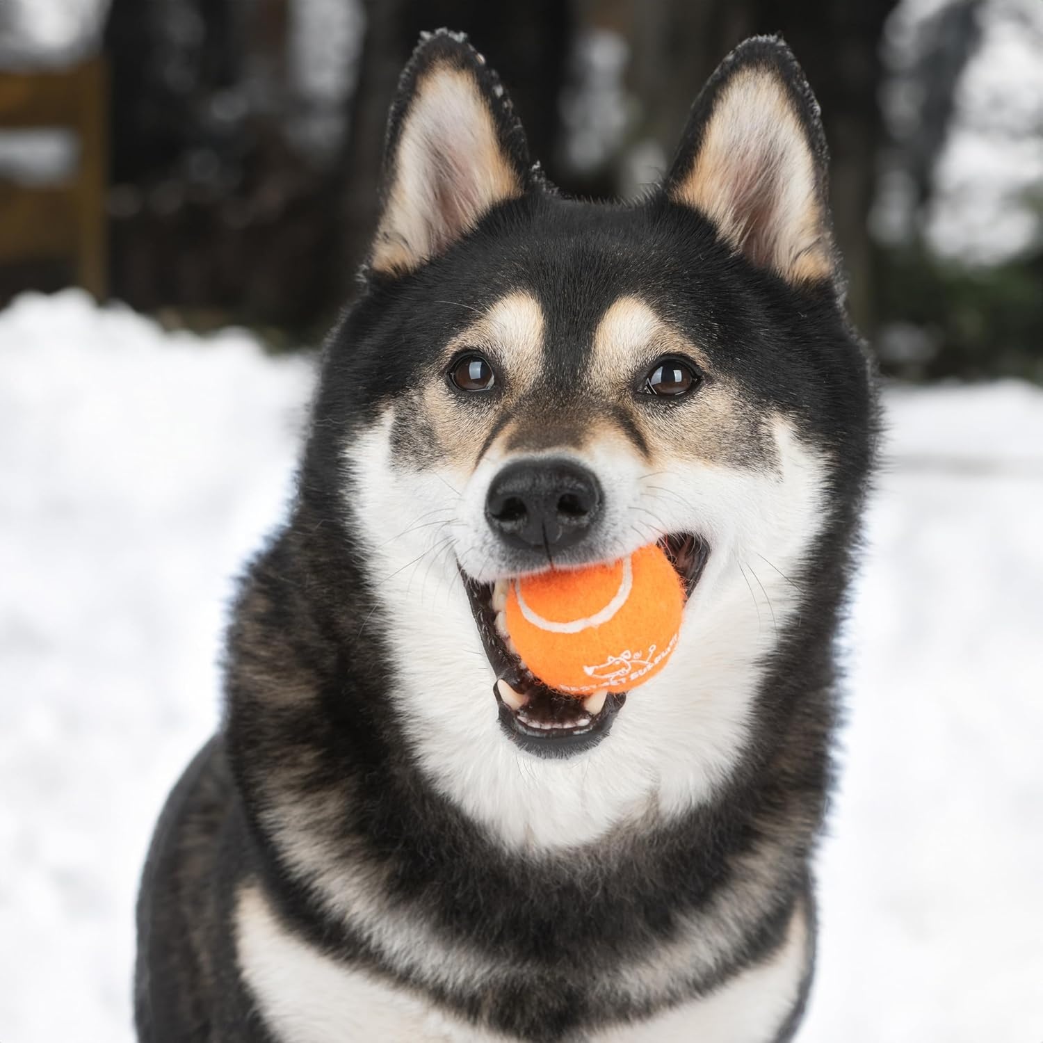 image:imageBest Pet Supplies Interactive Squeaky Dog Chew Toy Ideal Dog Toys for Chewers Small Medium amp Large Dogs and Fetch Lovers Crinkle Duck Blue LargeTennis Assorted Color