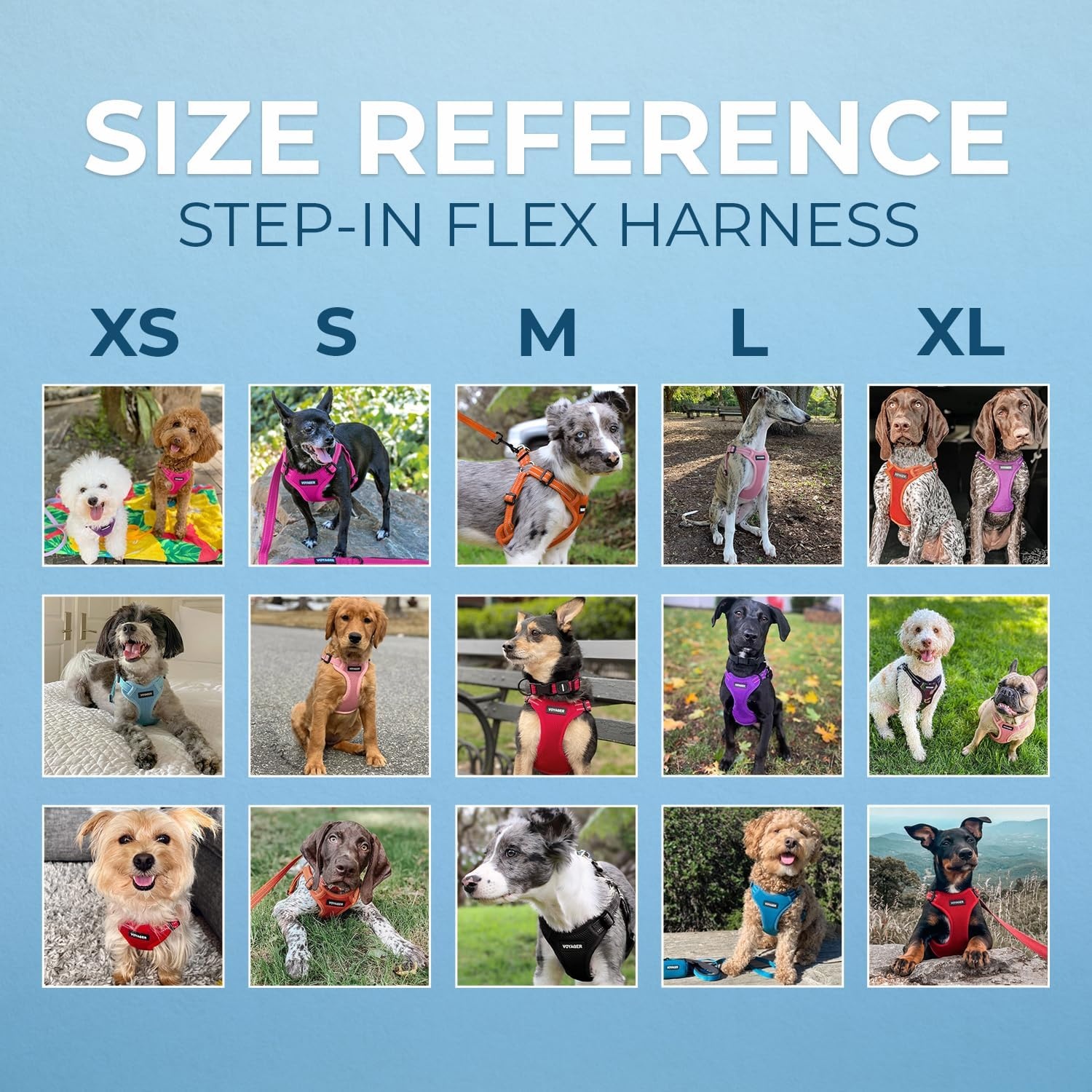 image:imageBest Pet Supplies Voyager Adjustable Stepin Flex Breathable Mesh Dog Harness for Small Medium Large Dogs Leash Set Army Base SHarness Baby Blue