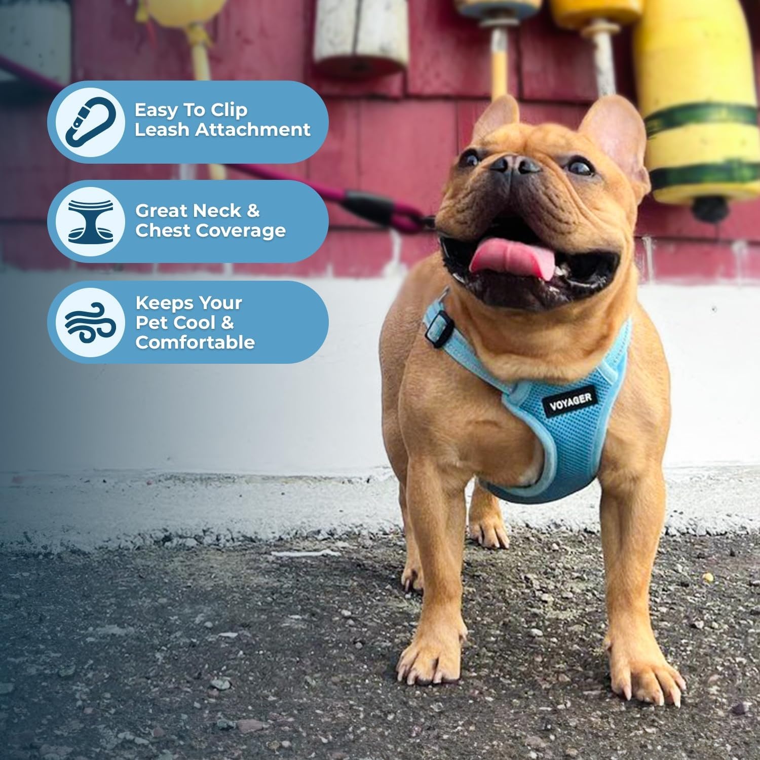 image:imageBest Pet Supplies Voyager Adjustable Stepin Flex Breathable Mesh Dog Harness for Small Medium Large Dogs Leash Set Army Base SHarness Baby Blue