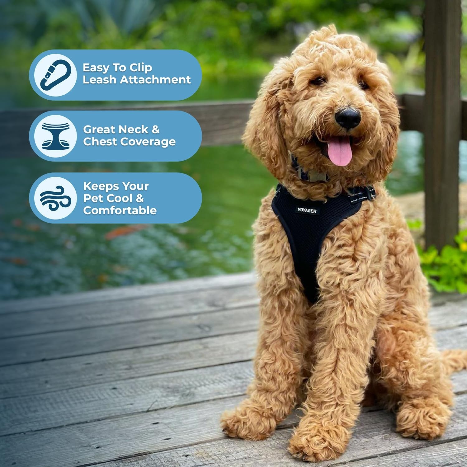 image:imageBest Pet Supplies Voyager Adjustable Stepin Flex Breathable Mesh Dog Harness for Small Medium Large Dogs Leash Set Army Base SHarness Black
