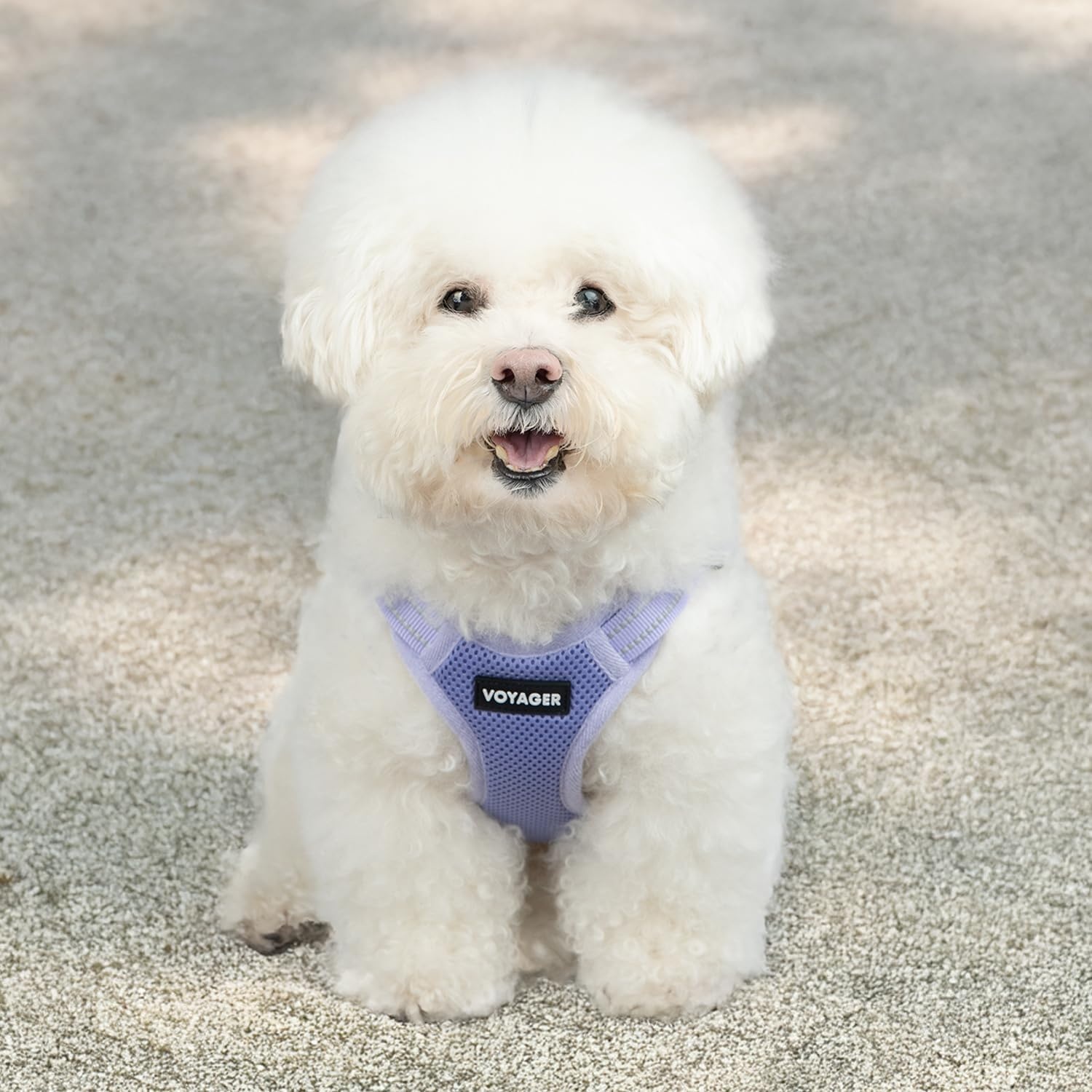 image:imageBest Pet Supplies Voyager Adjustable Stepin Flex Breathable Mesh Dog Harness for Small Medium Large Dogs Leash Set Army Base SHarness Lavender