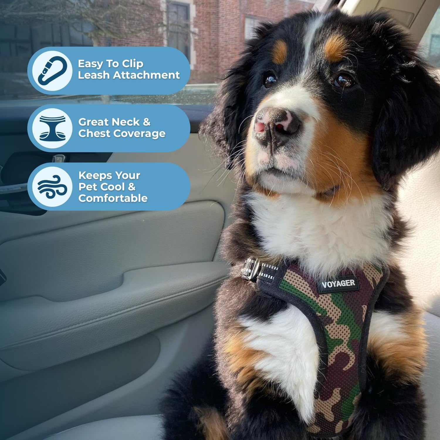image:imageBest Pet Supplies Voyager Adjustable Stepin Flex Breathable Mesh Dog Harness for Small Medium Large Dogs Leash Set Army Base SHarness Leash Set Army Base