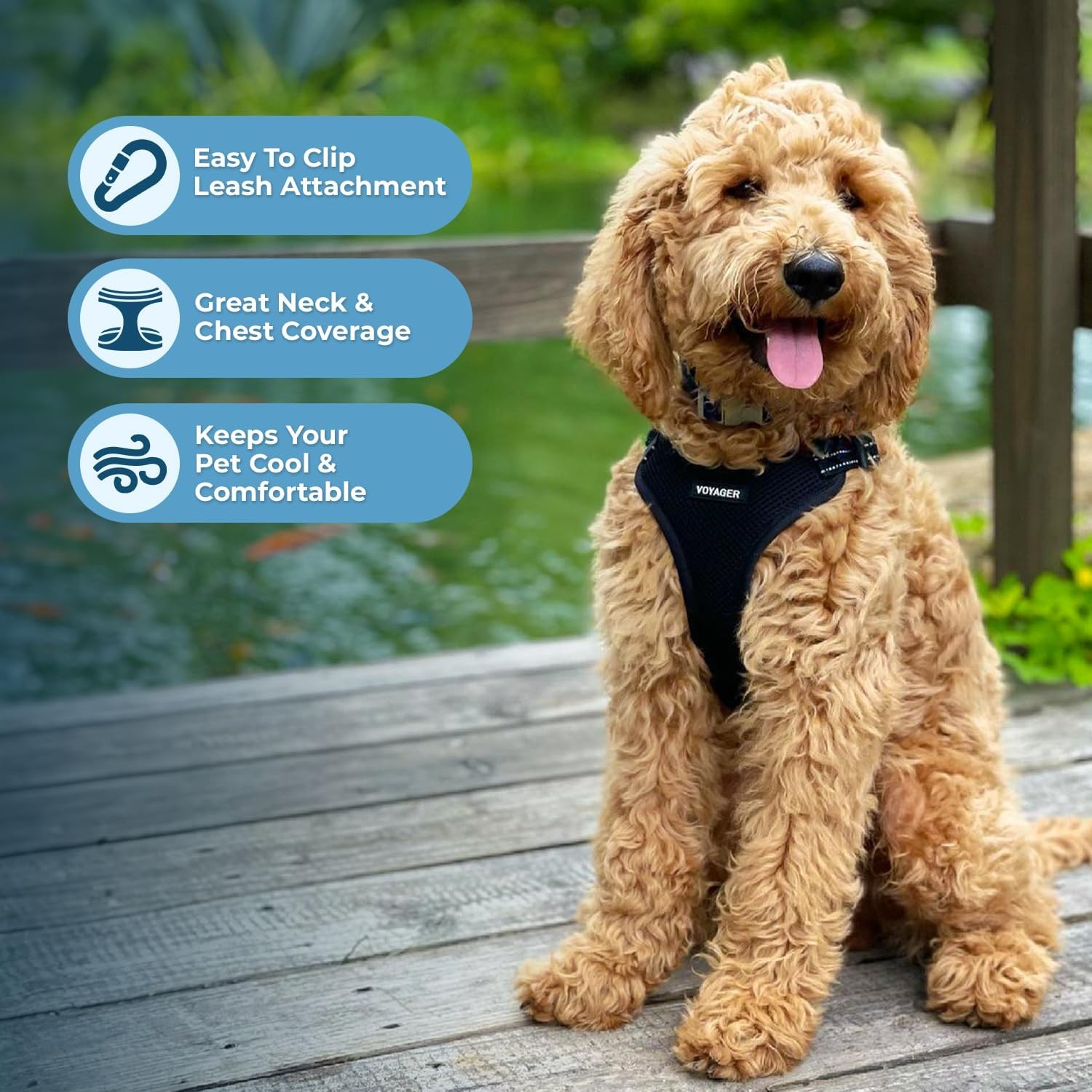 image:imageBest Pet Supplies Voyager Adjustable Stepin Flex Breathable Mesh Dog Harness for Small Medium Large Dogs Leash Set Army Base SHarness Leash Set Black