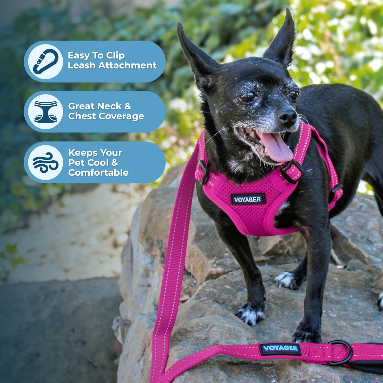 image:imageBest Pet Supplies Voyager Adjustable Stepin Flex Breathable Mesh Dog Harness for Small Medium Large Dogs Leash Set Army Base SHarness Leash Set Fuchsia