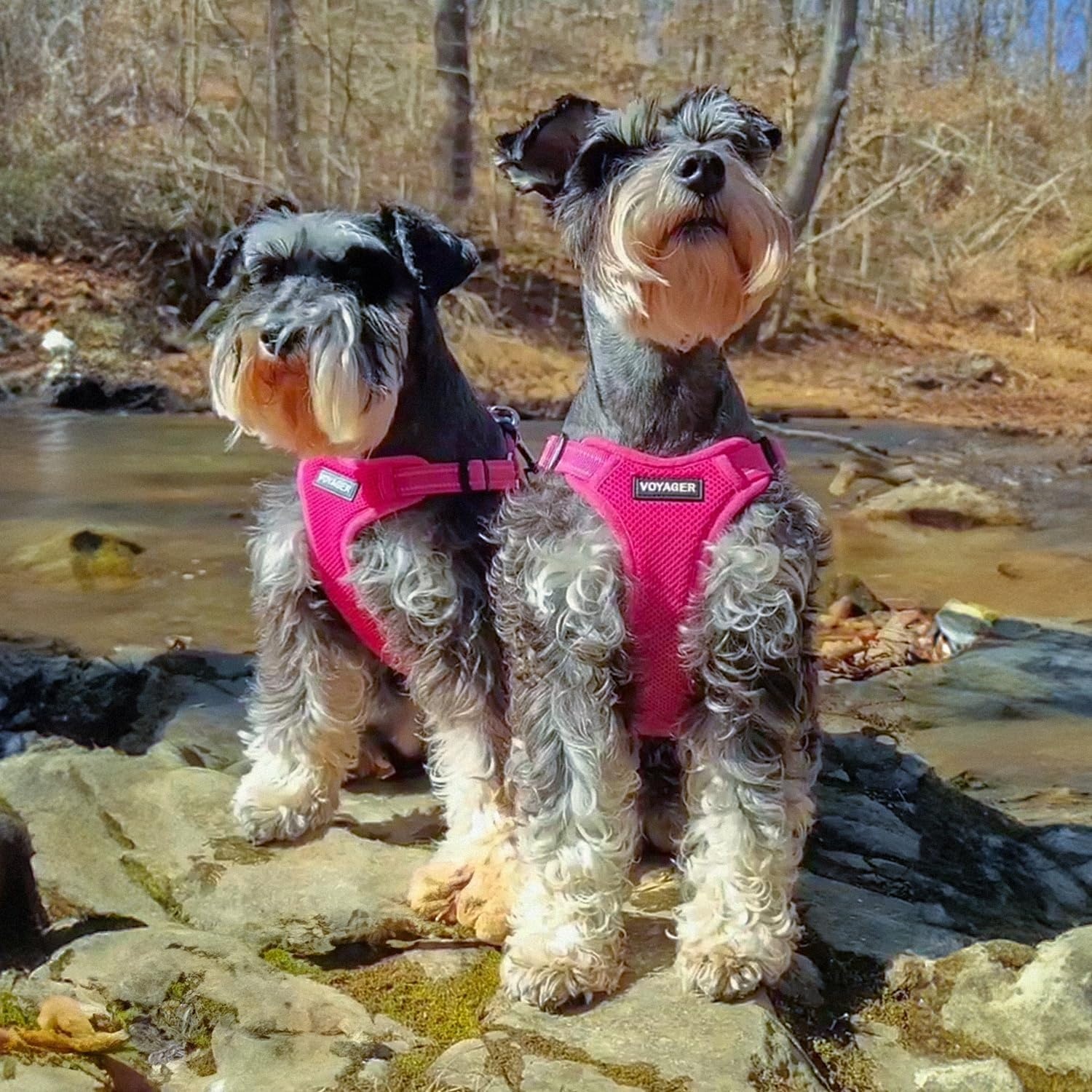 image:imageBest Pet Supplies Voyager Adjustable Stepin Flex Breathable Mesh Dog Harness for Small Medium Large Dogs Leash Set Army Base SHarness Leash Set Fuchsia