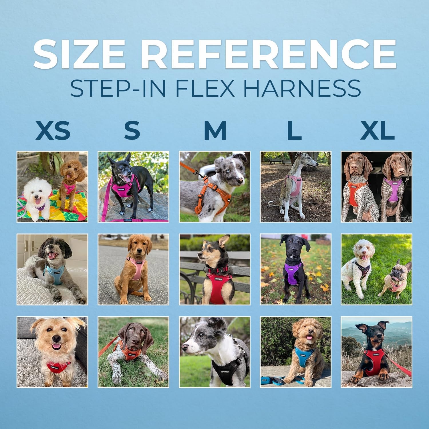 image:imageBest Pet Supplies Voyager Adjustable Stepin Flex Breathable Mesh Dog Harness for Small Medium Large Dogs Leash Set Army Base SHarness Leash Set Orange