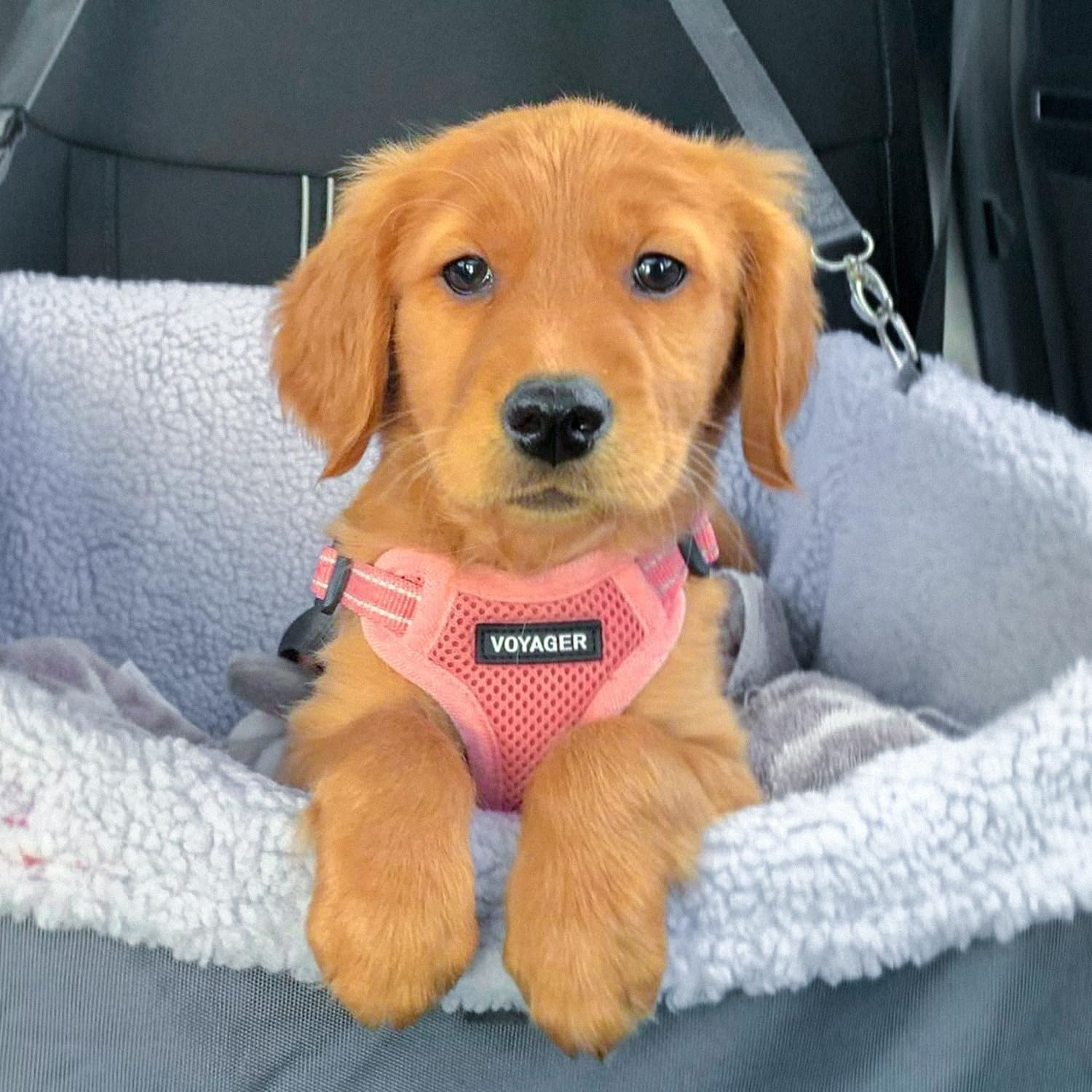 image:imageBest Pet Supplies Voyager Adjustable Stepin Flex Breathable Mesh Dog Harness for Small Medium Large Dogs Leash Set Army Base SHarness Leash Set Pink