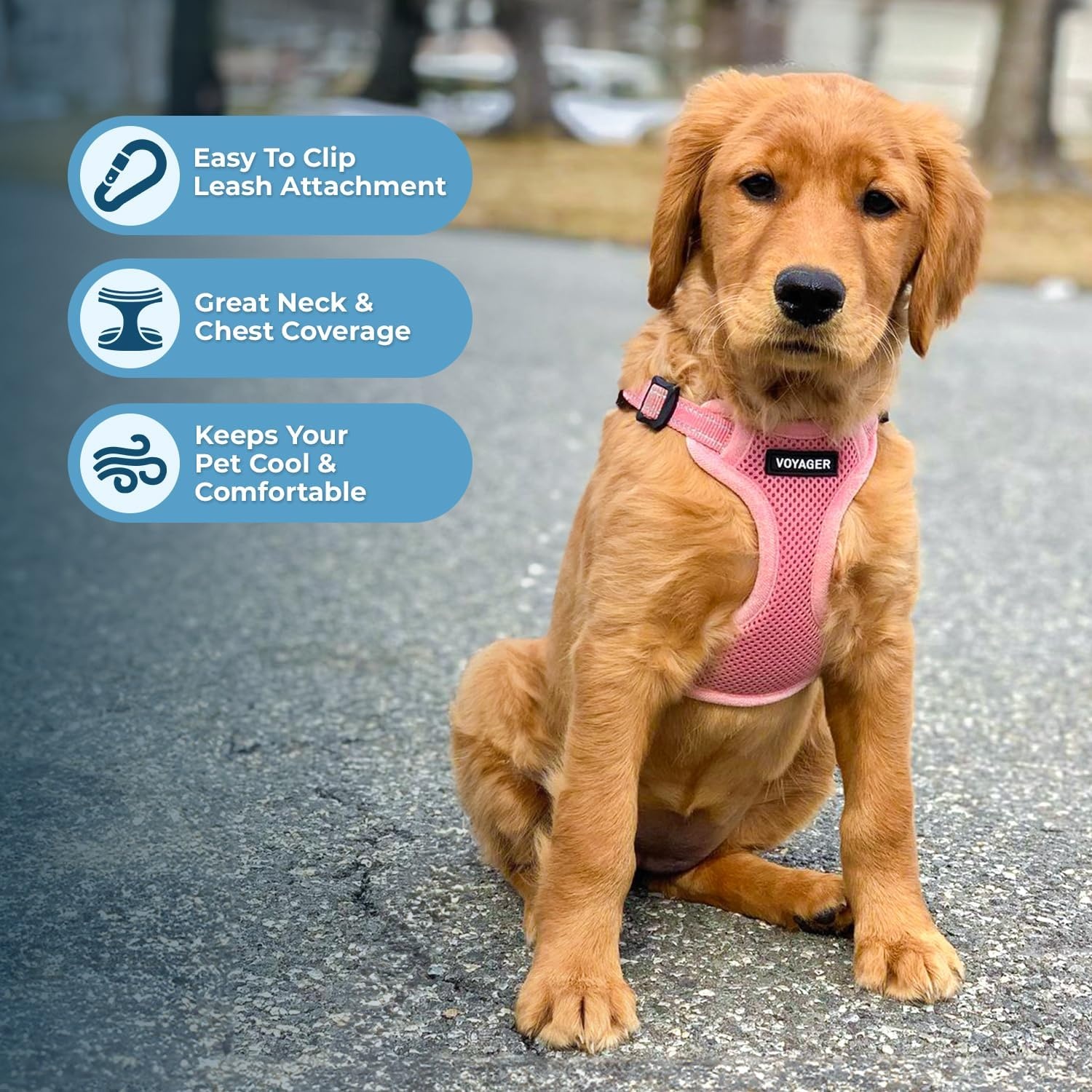 image:imageBest Pet Supplies Voyager Adjustable Stepin Flex Breathable Mesh Dog Harness for Small Medium Large Dogs Leash Set Army Base SHarness Leash Set Pink