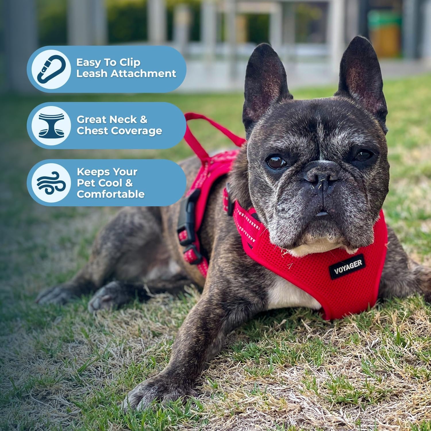 image:imageBest Pet Supplies Voyager Adjustable Stepin Flex Breathable Mesh Dog Harness for Small Medium Large Dogs Leash Set Army Base SHarness Leash Set Red