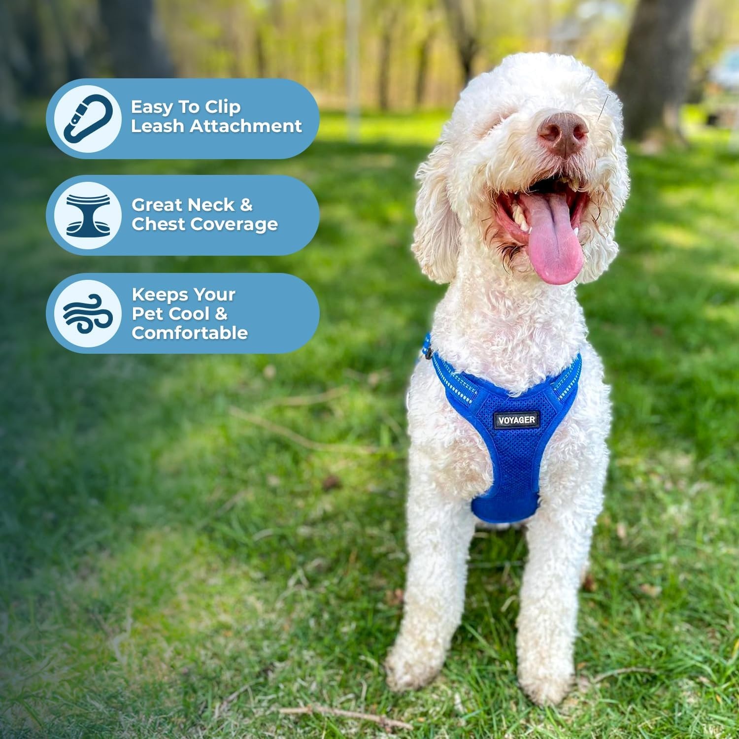 image:imageBest Pet Supplies Voyager Adjustable Stepin Flex Breathable Mesh Dog Harness for Small Medium Large Dogs Leash Set Army Base SHarness Leash Set Royal Blue