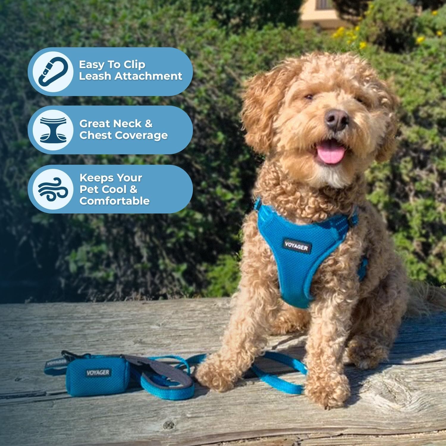 image:imageBest Pet Supplies Voyager Adjustable Stepin Flex Breathable Mesh Dog Harness for Small Medium Large Dogs Leash Set Army Base SHarness Leash Set Turquoise