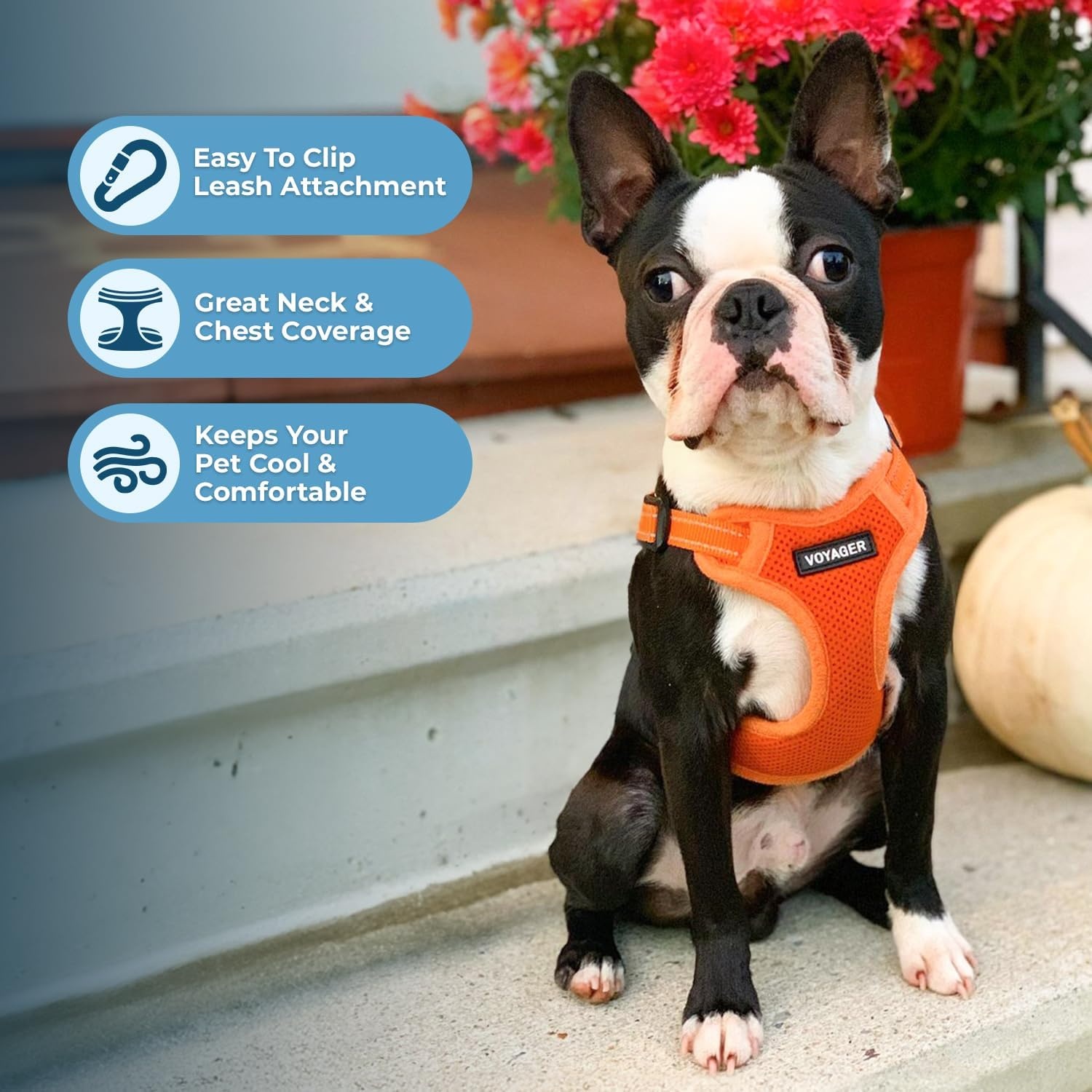image:imageBest Pet Supplies Voyager Adjustable Stepin Flex Breathable Mesh Dog Harness for Small Medium Large Dogs Leash Set Army Base SHarness Orange