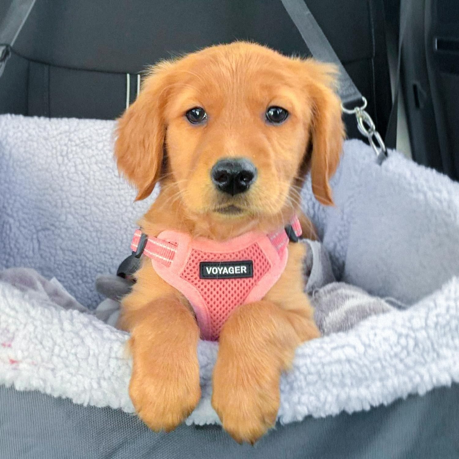 image:imageBest Pet Supplies Voyager Adjustable Stepin Flex Breathable Mesh Dog Harness for Small Medium Large Dogs Leash Set Army Base SHarness Pink
