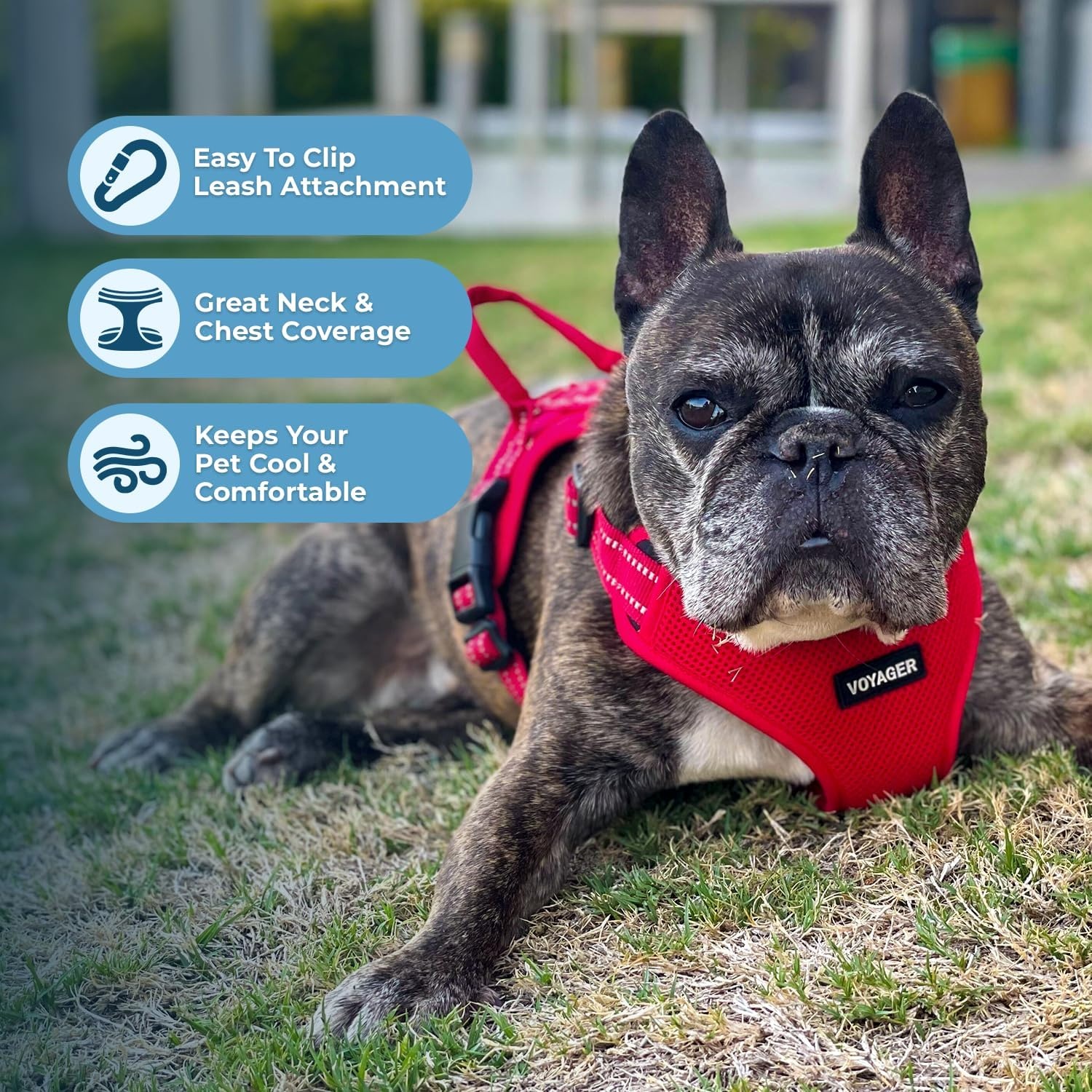 image:imageBest Pet Supplies Voyager Adjustable Stepin Flex Breathable Mesh Dog Harness for Small Medium Large Dogs Leash Set Army Base SHarness Red