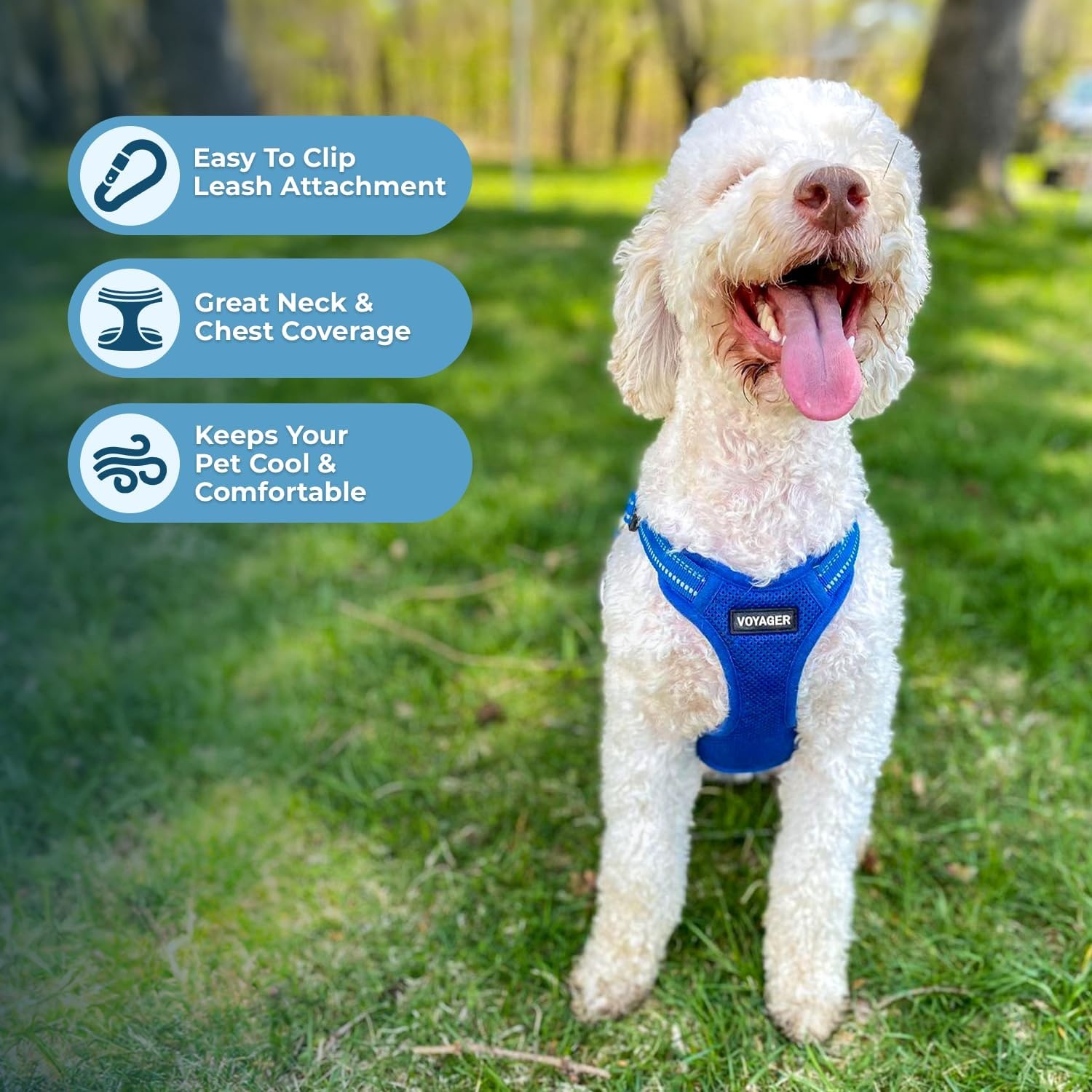 image:imageBest Pet Supplies Voyager Adjustable Stepin Flex Breathable Mesh Dog Harness for Small Medium Large Dogs Leash Set Army Base SHarness Royal Blue