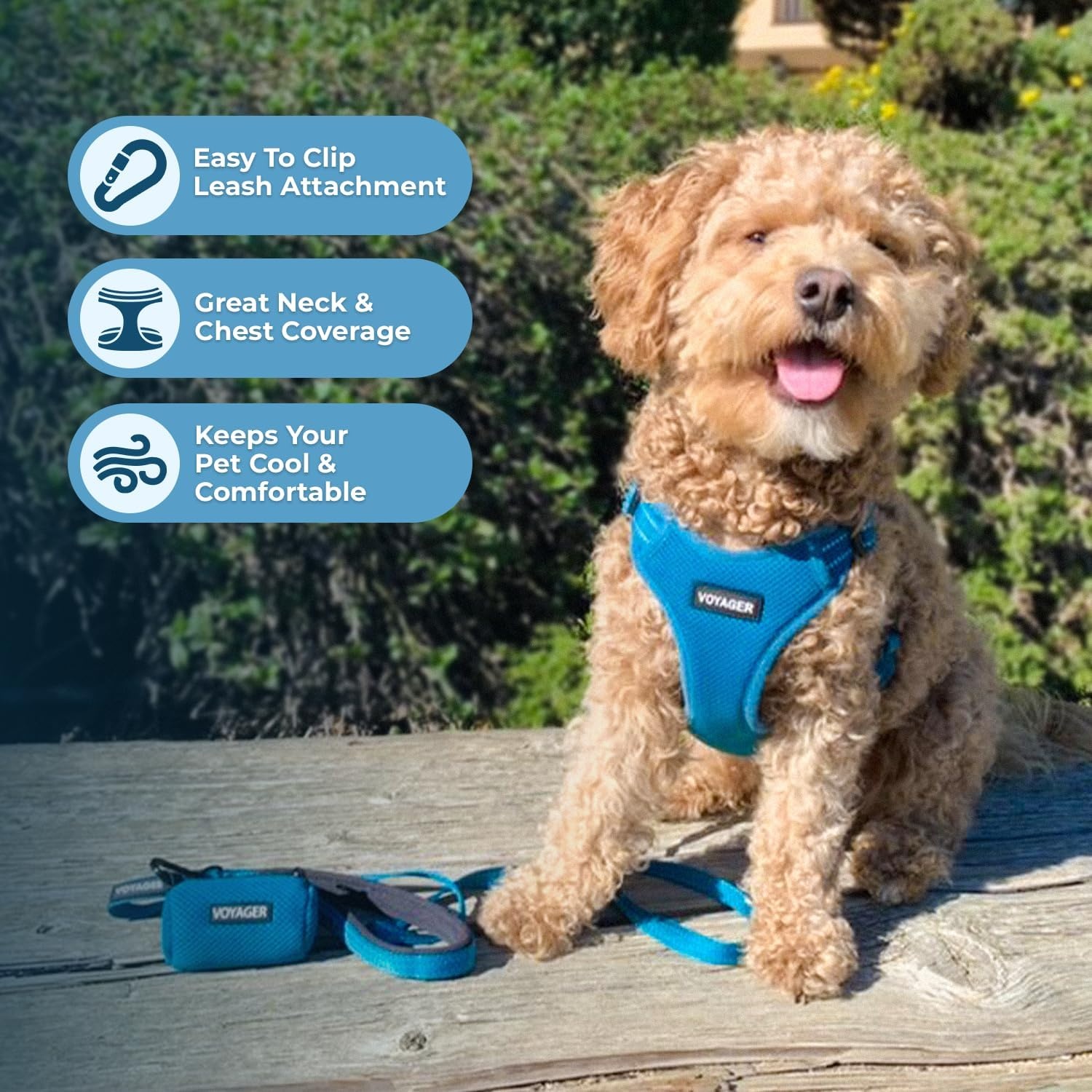 image:imageBest Pet Supplies Voyager Adjustable Stepin Flex Breathable Mesh Dog Harness for Small Medium Large Dogs Leash Set Army Base SHarness Turquoise