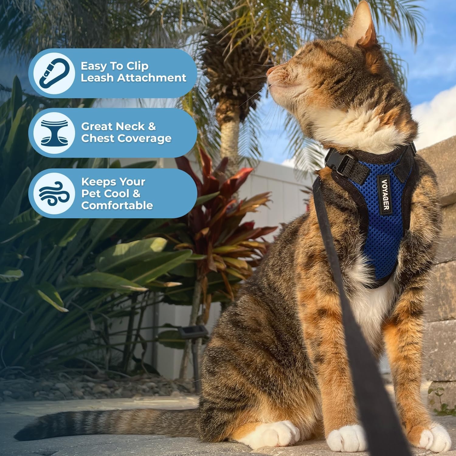 image:imageVoyager EscapeProof Stepin Lock Cat Harness amp 5ft NeopreneHandle Leash Set AllWeather Mesh with Reflective Stitching for Small to Large Cats by Best Pet Supplies Lavender 327 XXSHarness Leash Set Royal BlueBlack Trim
