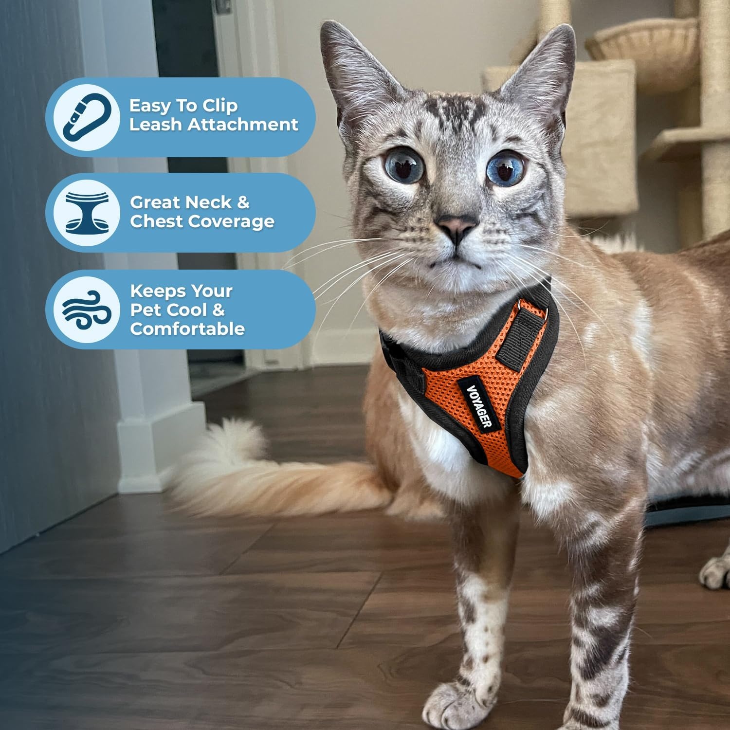 image:imageVoyager EscapeProof Stepin Lock Cat Harness amp 5ft NeopreneHandle Leash Set AllWeather Mesh with Reflective Stitching for Small to Large Cats by Best Pet Supplies Lavender 327 XXSHarness Leash Set OrangeBlack Trim